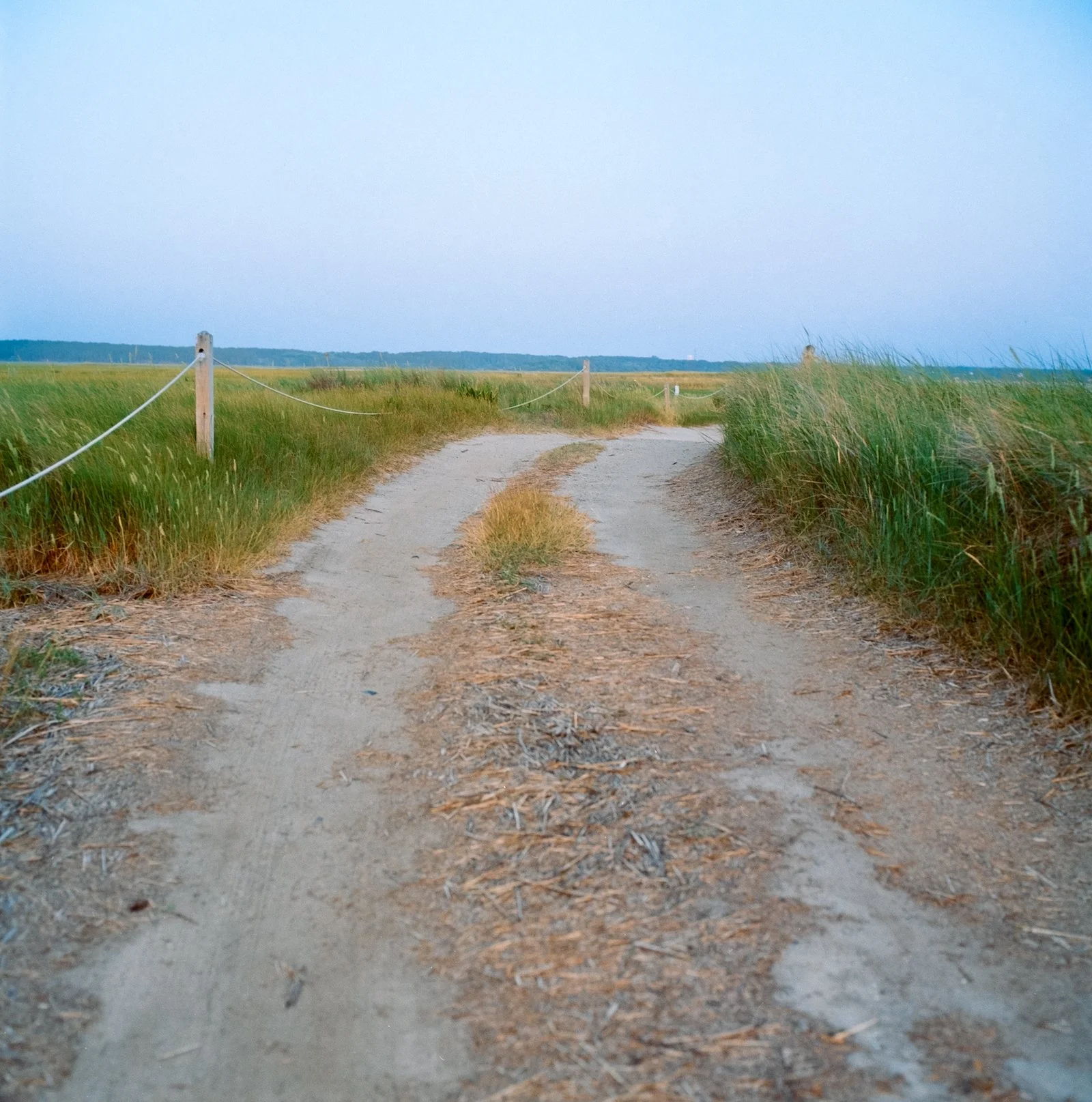 Beach Road - Cape Cod - July 2026