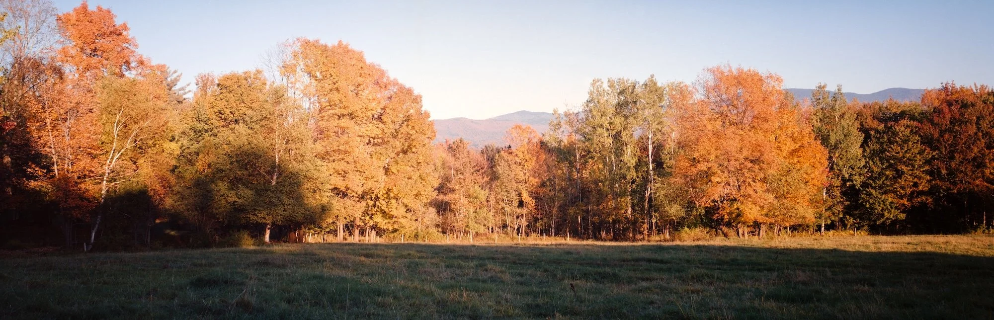 Along the Grounds - Vermont - October 2025