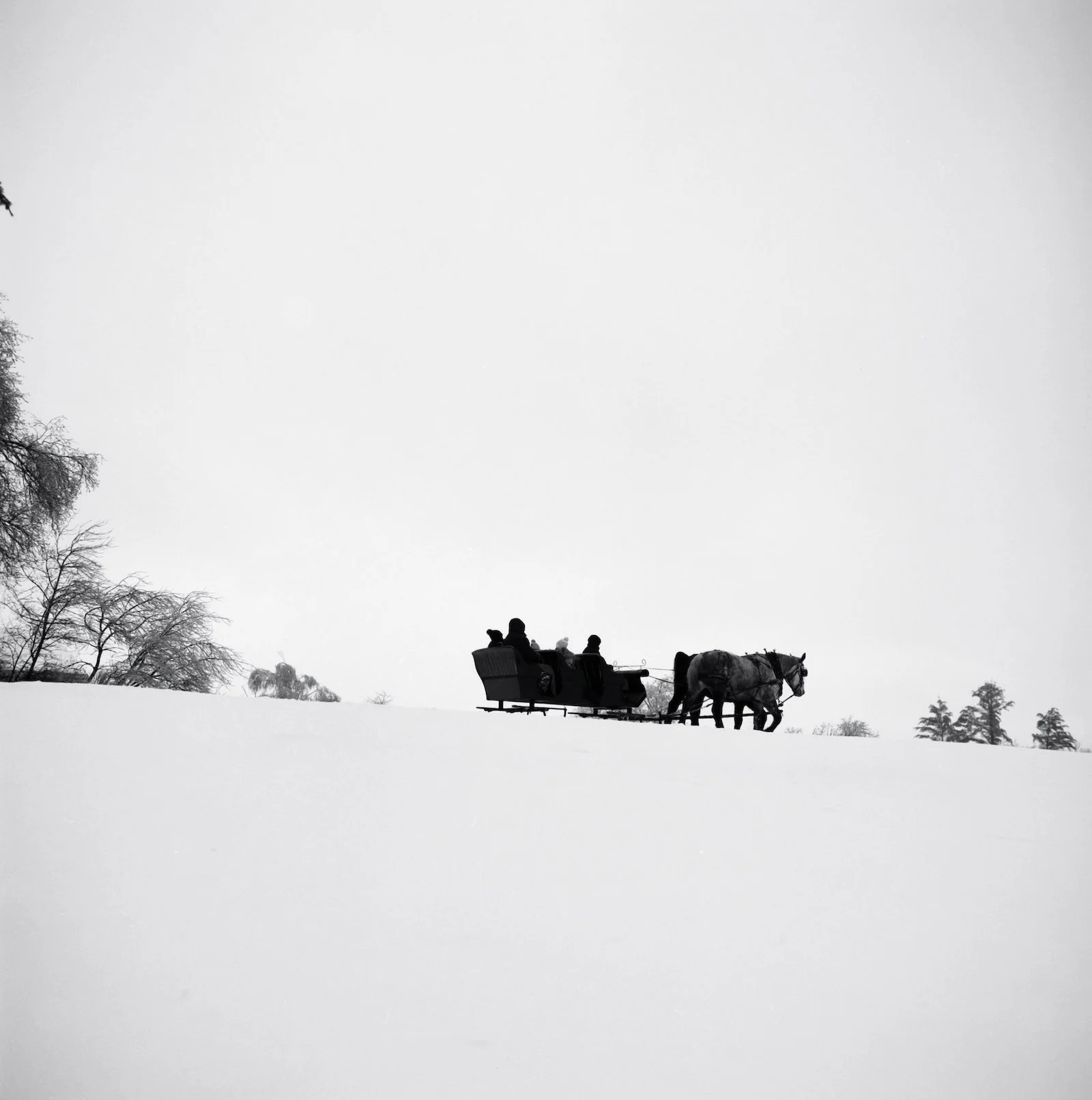 Sleigh Ride - Vermont - December 2025