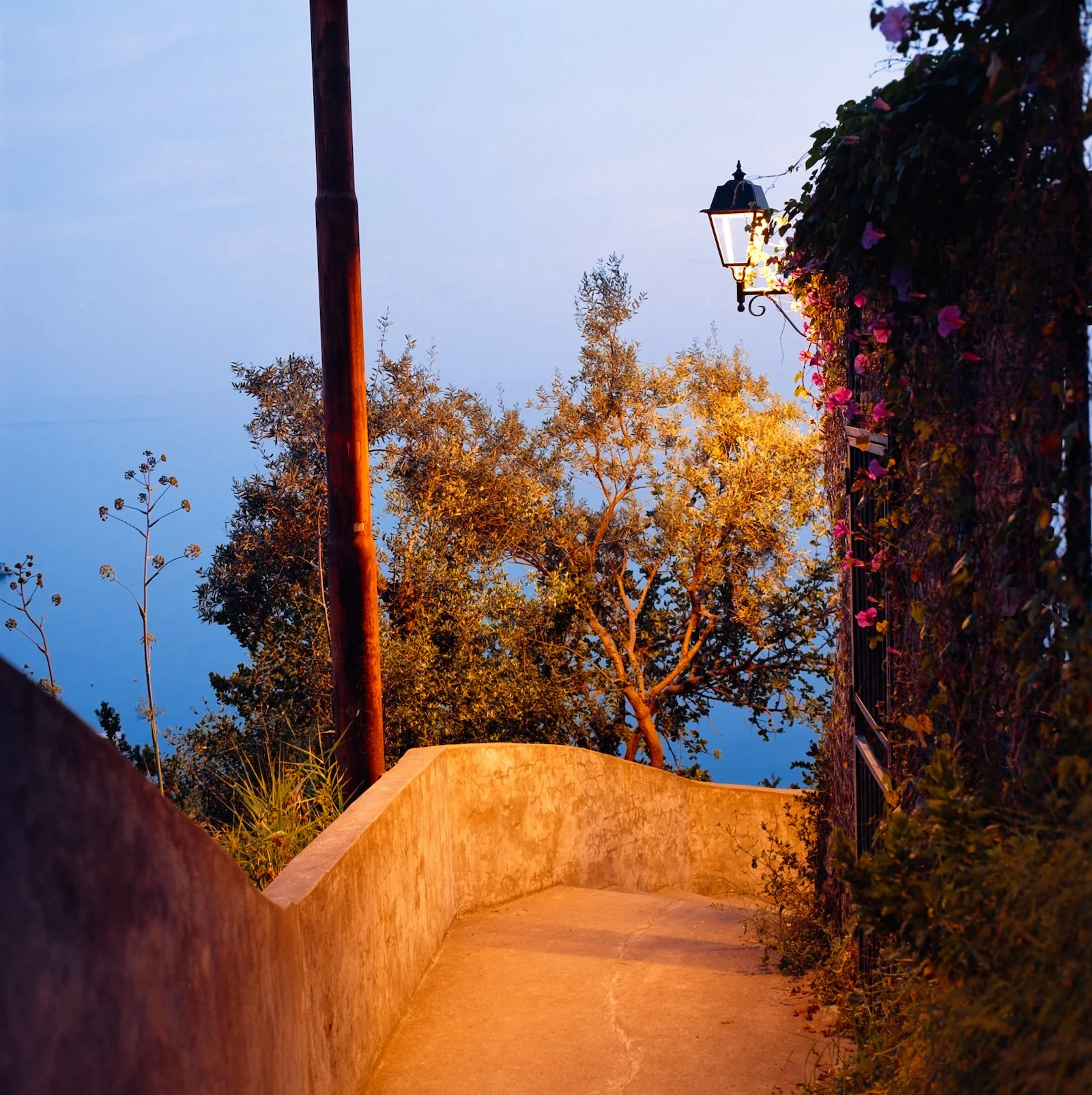 Pathway at Dusk - Italy - April 2026