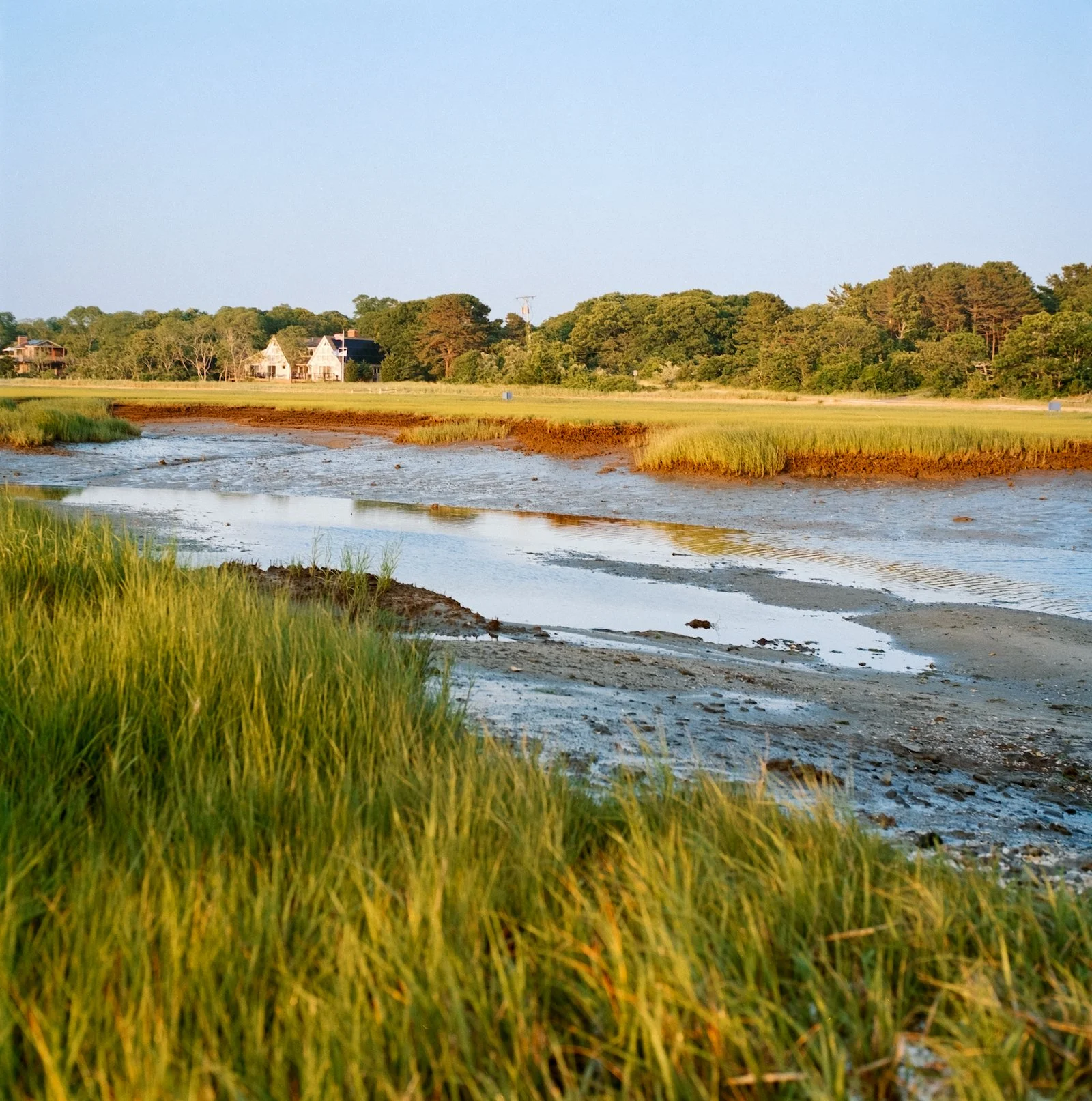 Lowtide in the Marsh - Cape Cod - July 2026