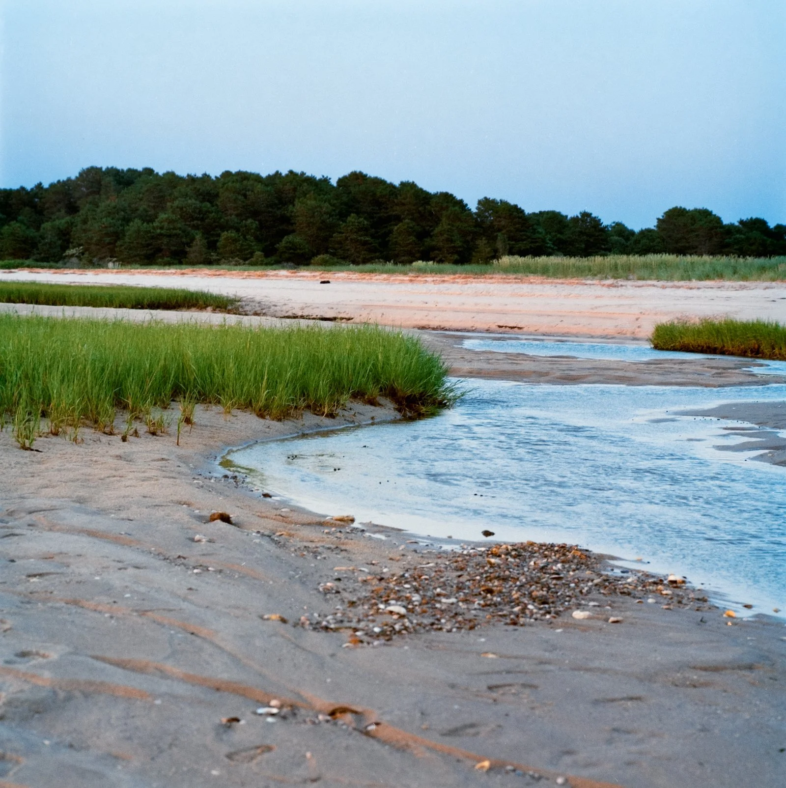 Beach Landscape - Cape Cod - July 2026