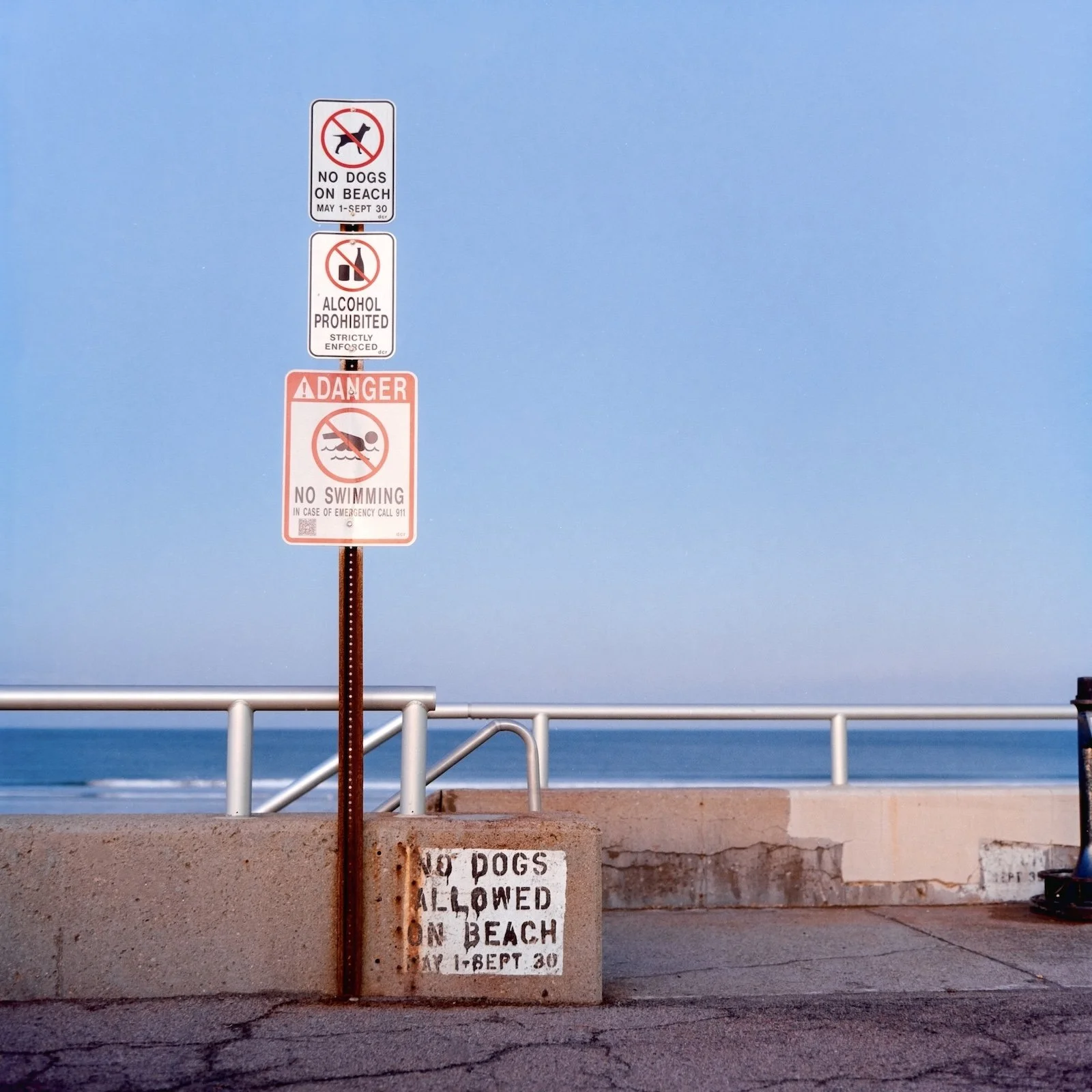 No Dogs Allowed on Beach - Hull - December 2024