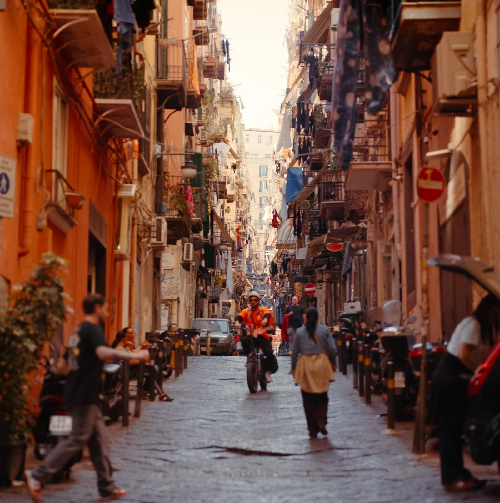 DSCF7078.jpg