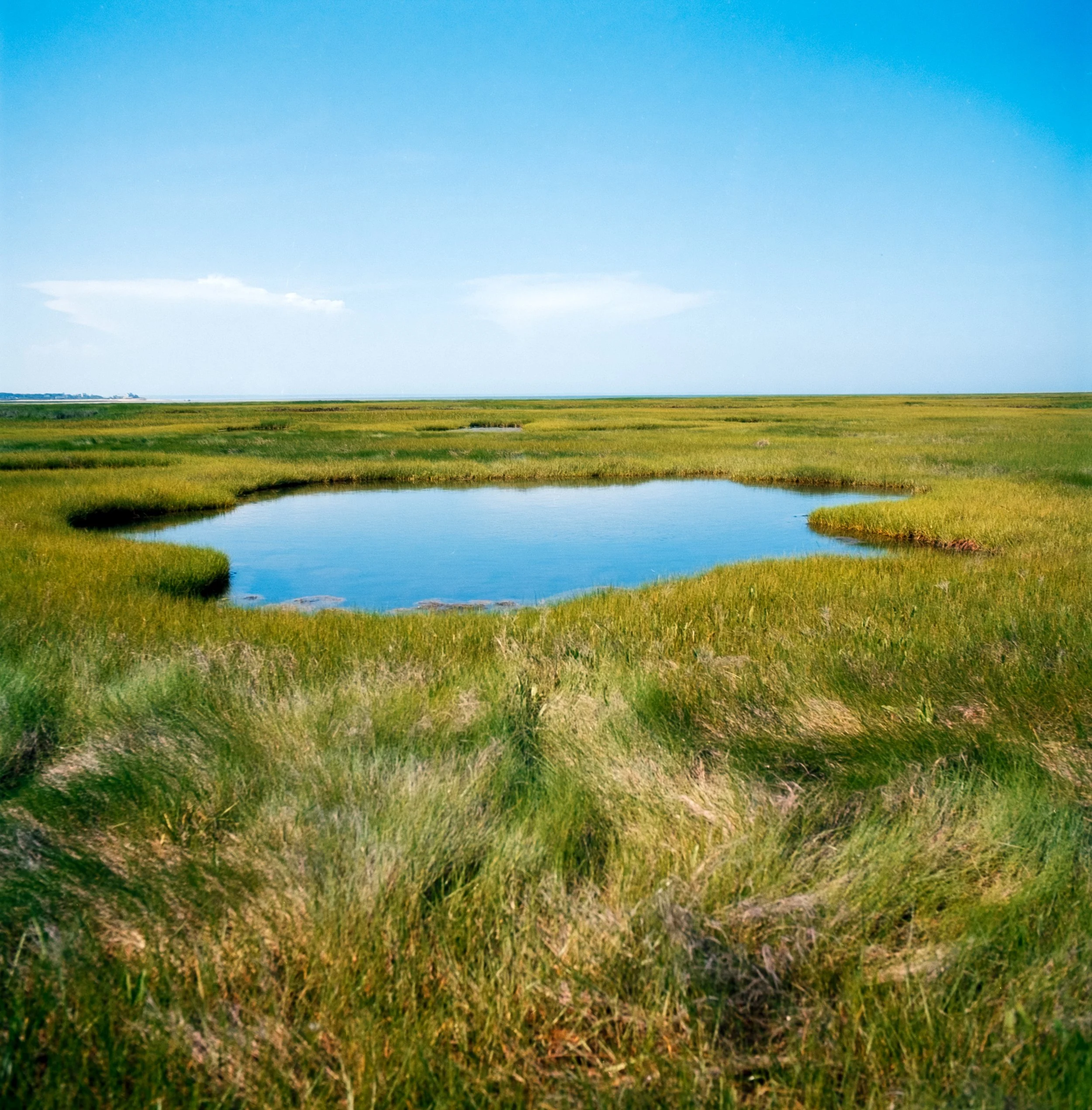 Marsh Pond - Cape Cod - July 2026