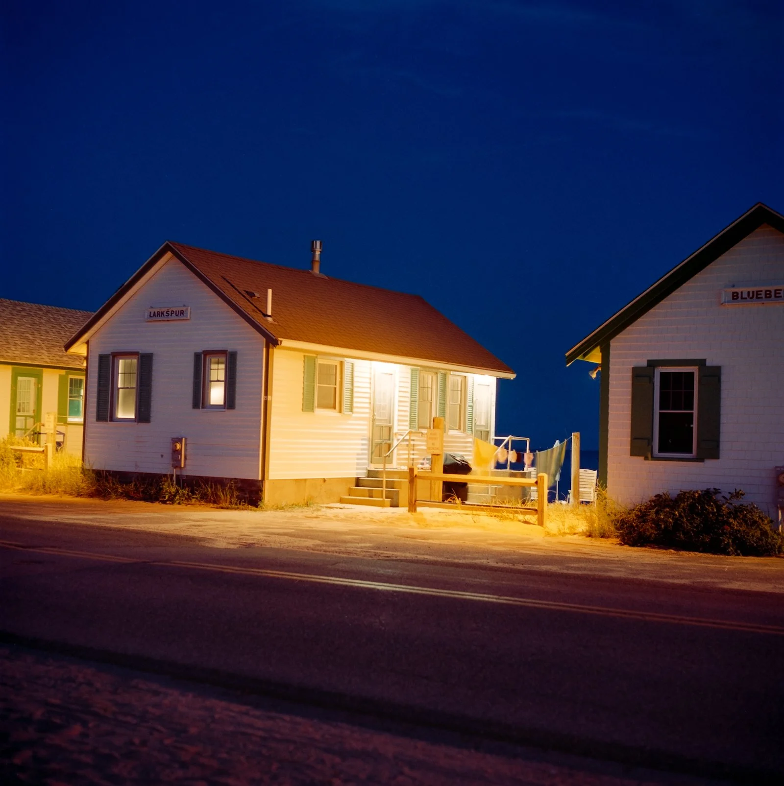 Larkspur - Cape Cod - July 2026