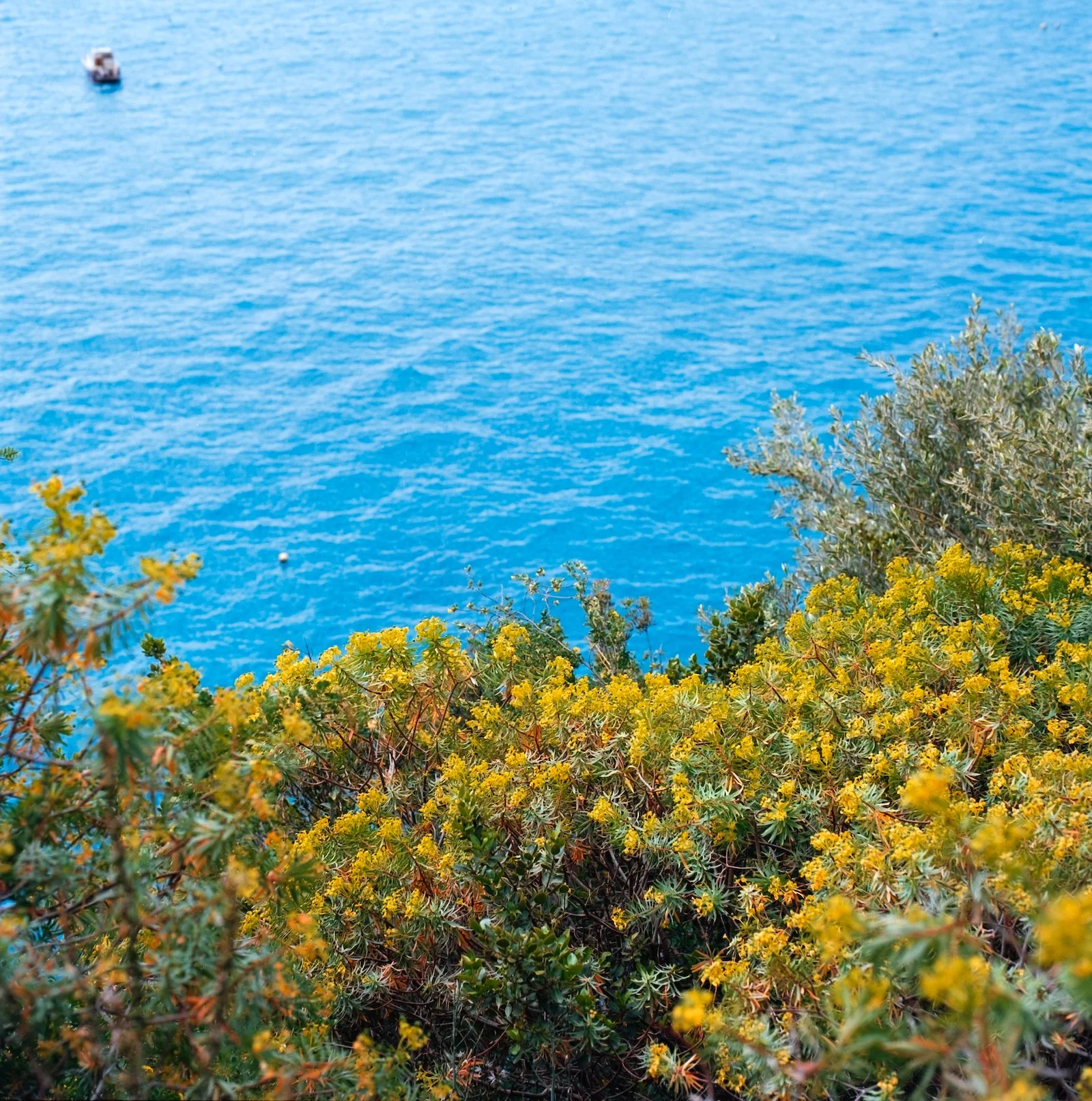 Looking Down at the Water - Italy - April 2026