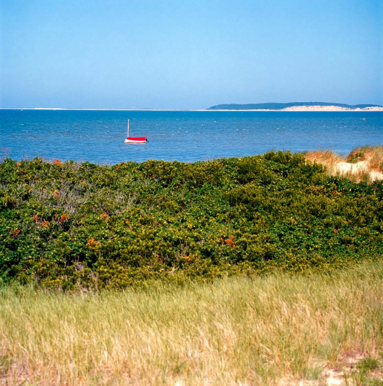 Little Red Sailboat - Cape Cod - July 2026