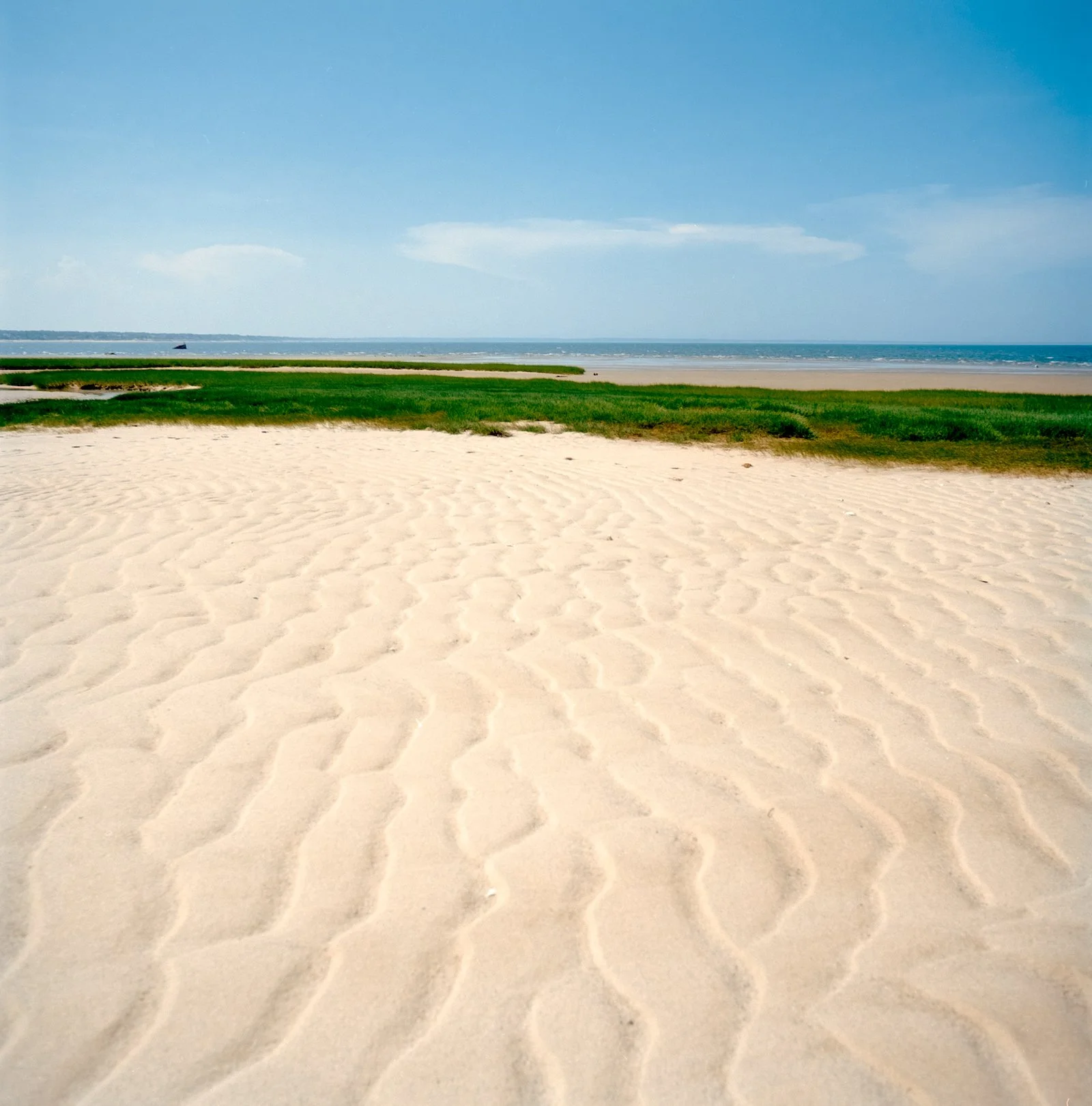 Sand Textures - Cape Cod - July 2026