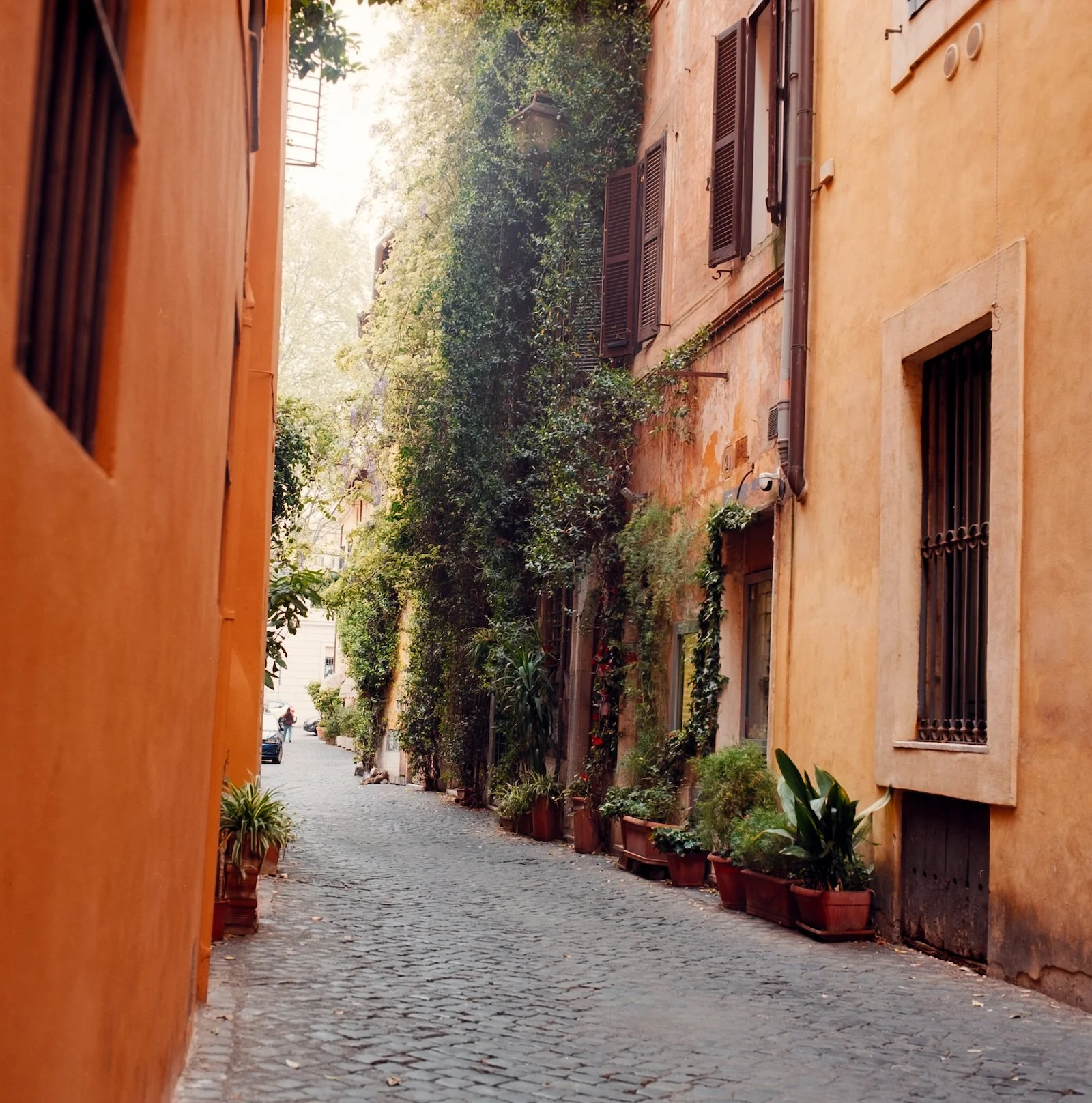 Roman Alley - Italy - April 2026