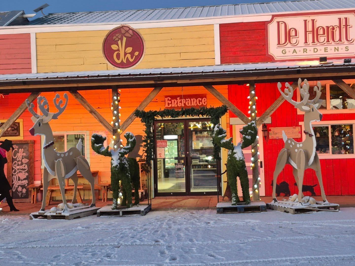 Our deer got some company 😉 we are open 9 to 6
#deherdtgardens 
#coffeeshop 
#barrheadsgardencenter