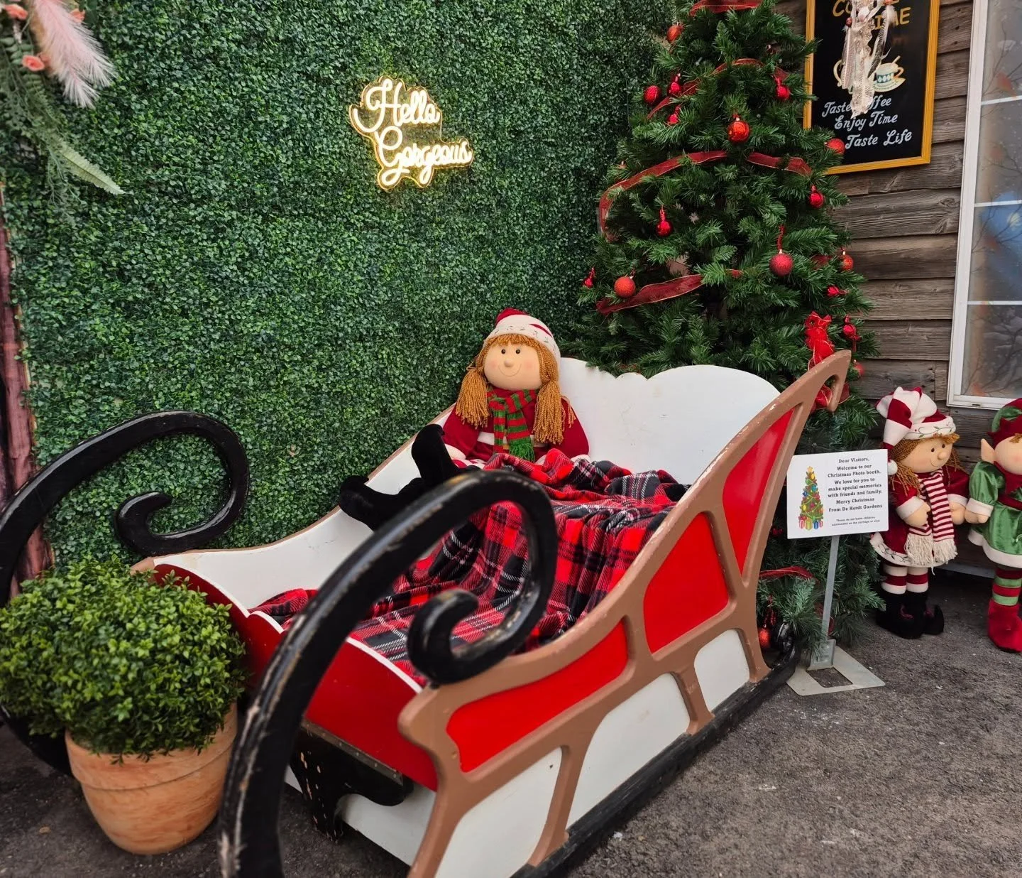 Another photobooth for the little ones 🙂 thank you to our secret Santa for the sled 🥰
See you back on Monday 12 to 6
#deherdtgardens 
#barrheadsgardencenter 
#coffeeshop