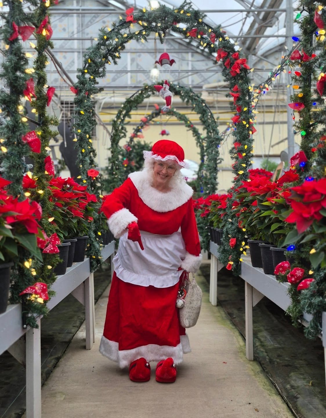 Mrs Claus got some new slippers in Barrhead ... WITH bells on 🤶
Our store is open again Monday 12 to 6
#mrsclausatdeherdtgardens 
#deherdtgardens 
#coffeeshop