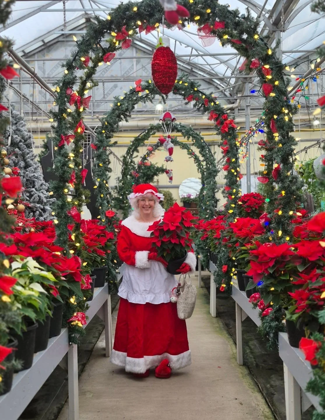 Mrs Claus loved all the beautiful poinsettias 🥰 our store is open today 12 to 6
#deherdtgardens 
#mrsclausatdeherdtgardens 
#poinsettias