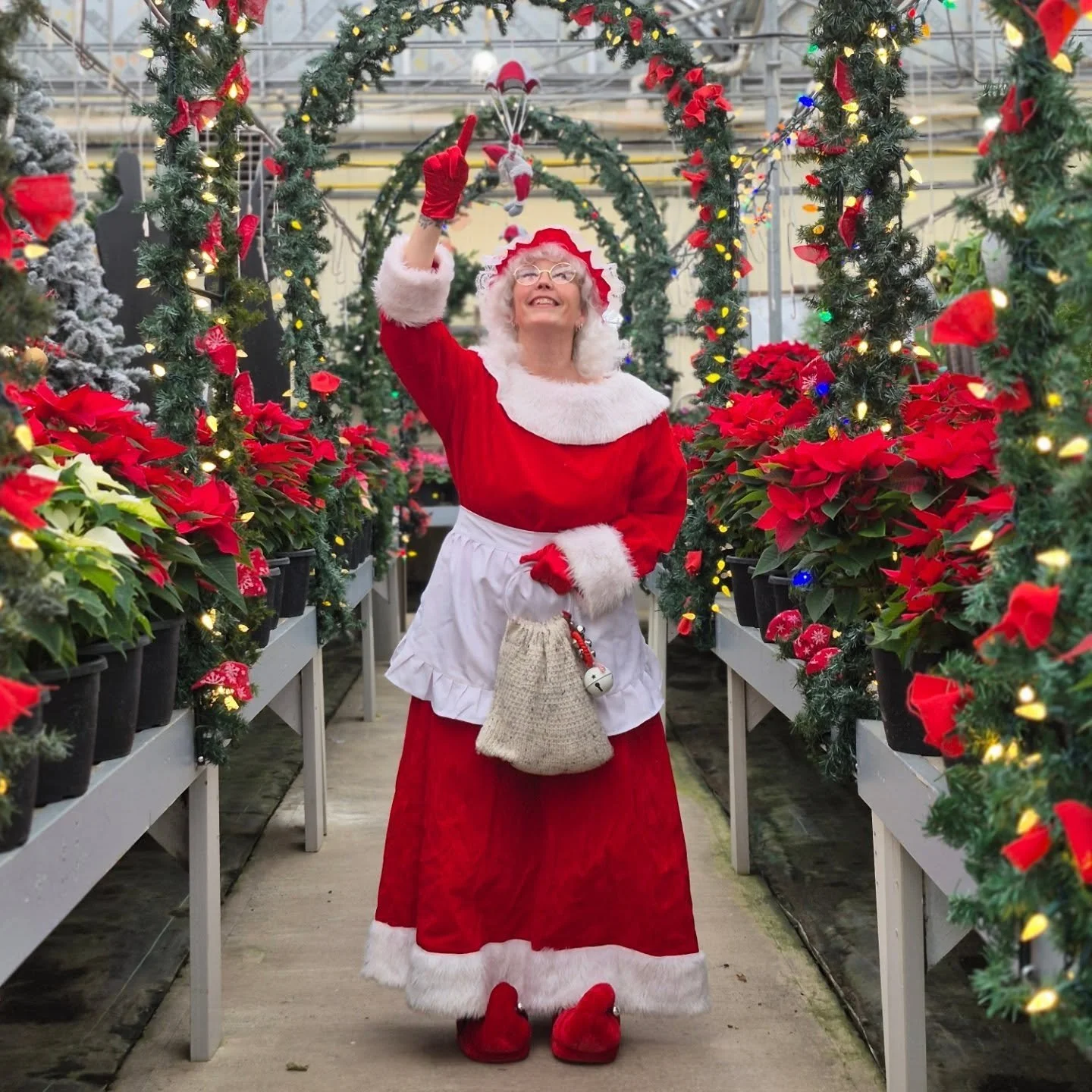 Come enjoy a cup of great coffee and delicious sweets while taking in the beauty of the poinsettias and our Christmas setup 🤶 
we are open 9 to 6
#deherdtgardens 
#mrsclausatdeherdtgardens 
#coffeeshop