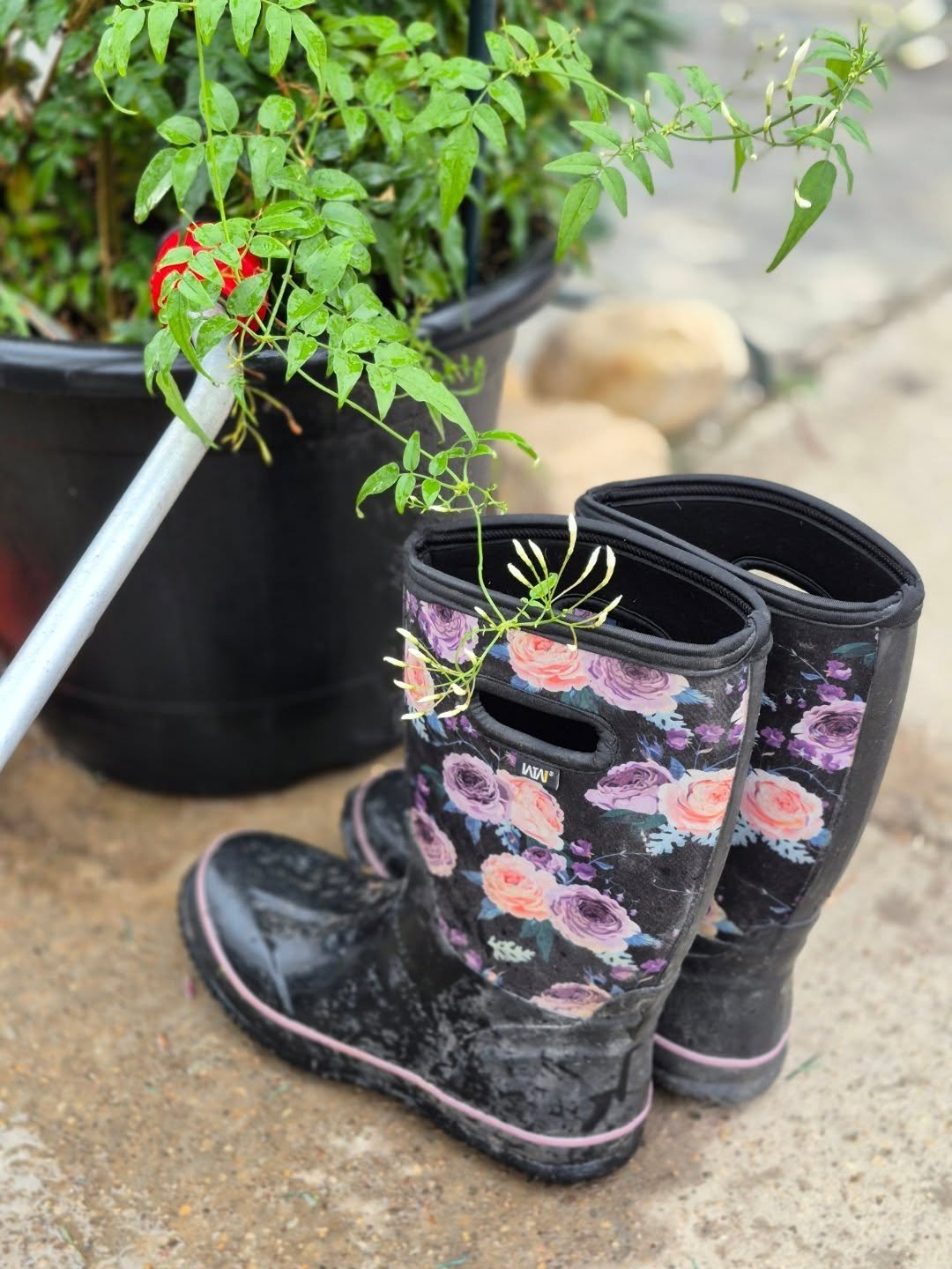 There is always work to do 🙂 even when we are closed 
Re-opening january 26
#deherdtgardens 
#coffeeshop 
#barrheadsgardencenter