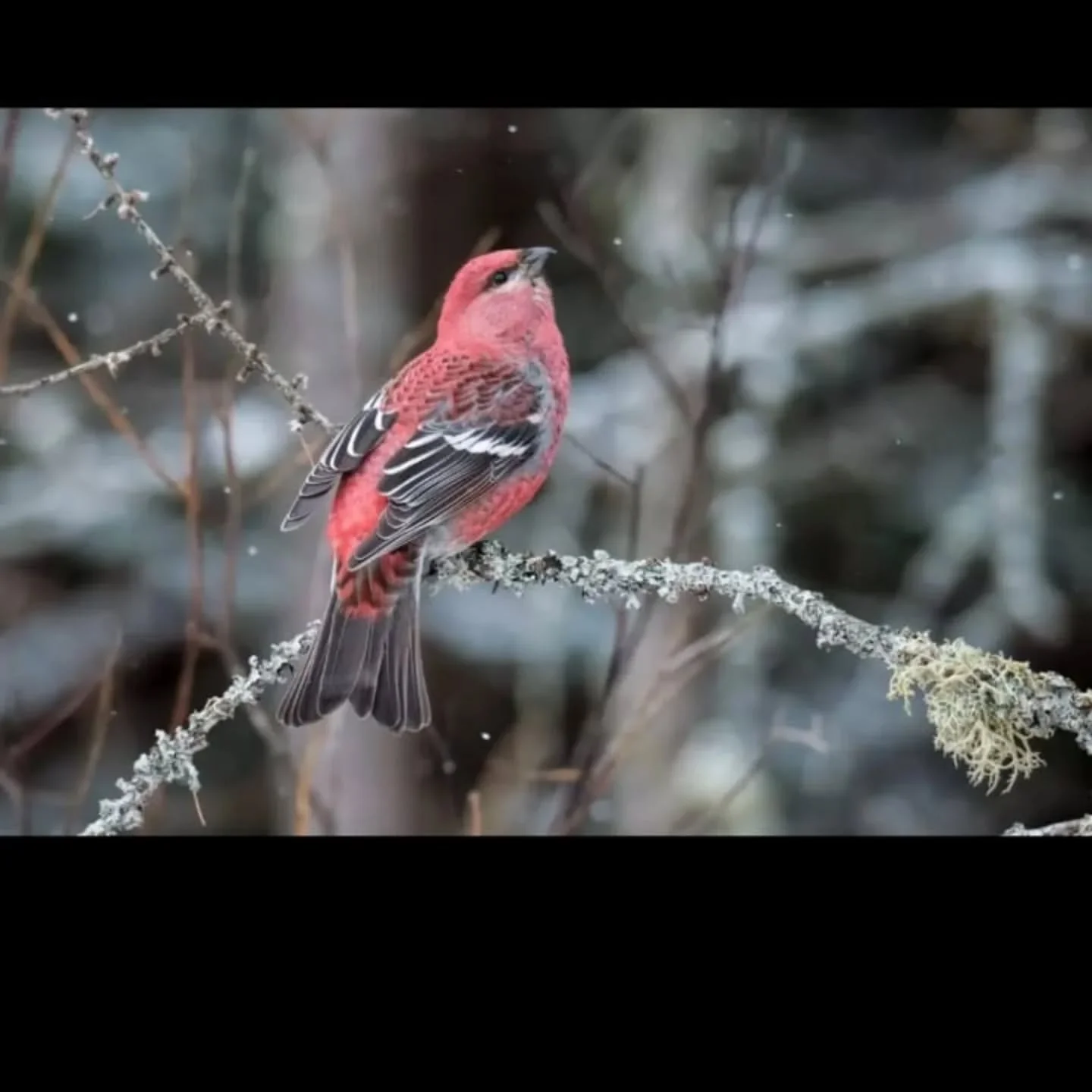 If you have subscribed to our email list, we just sent out an email with some VIP sneak peeks of upcoming events! It might come through in your promotions / spam folder! 
If you want to be a part of our list head over to our website and subscribe! 
w