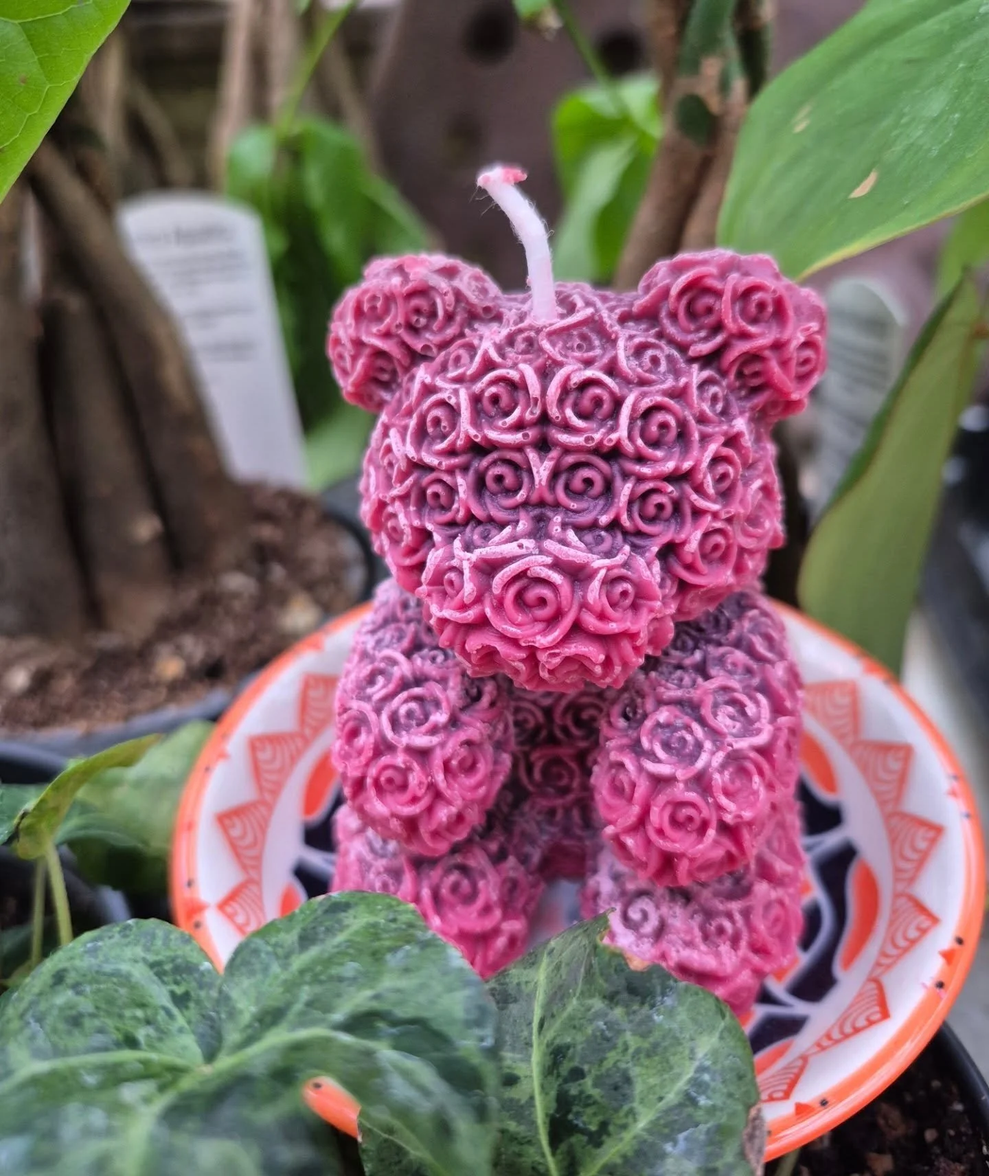 Let me be your teddybear 🙂 new addition to our candlesection
#florawixbyinge 
#deherdtgardens 
#coffeeshop