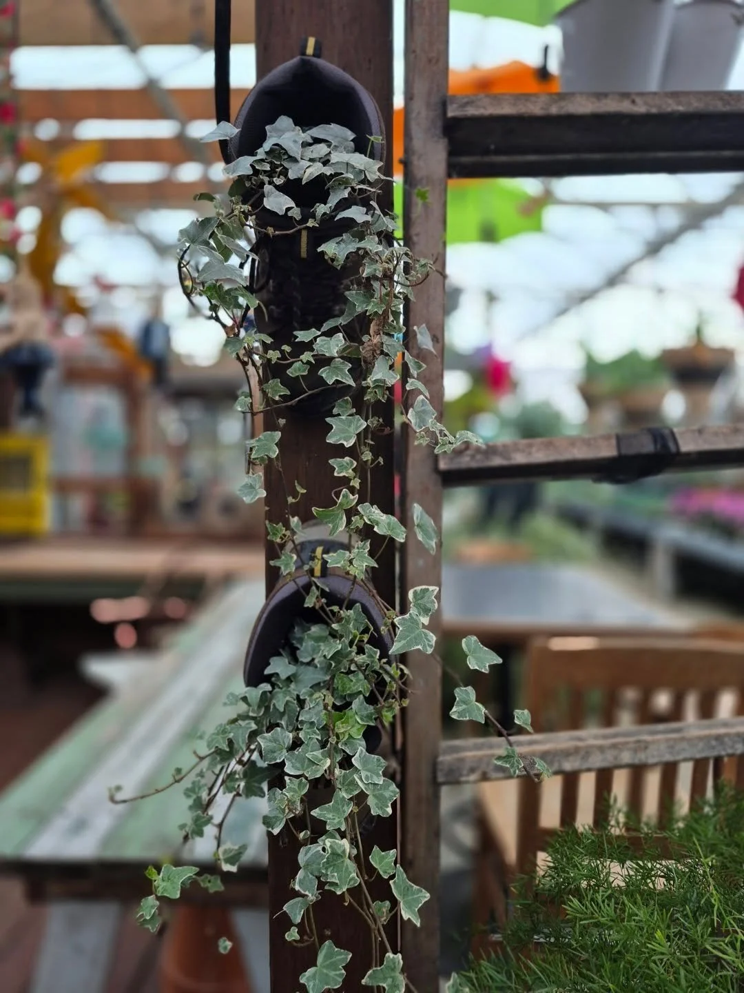 See you back on Monday 12 to 6 🙂
#coffeeshop 
#deherdtgardens 
#aplacetovisit