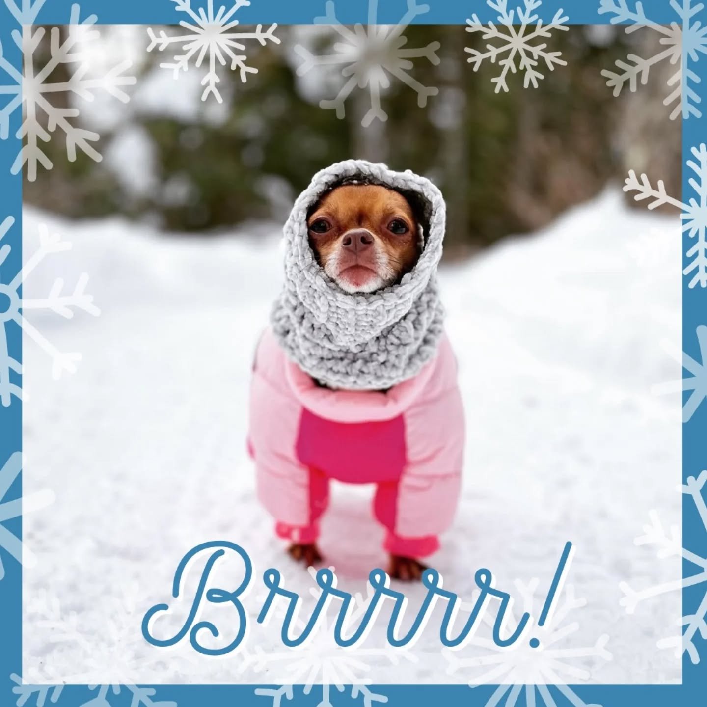 A quick headsup that we are closing at 5 today 🙂
#deherdtgardens