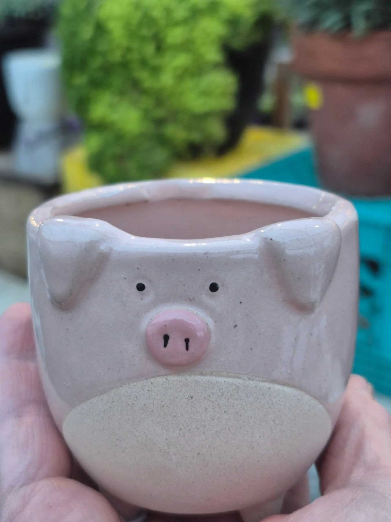 Yes we got come cute pottery in 🙂 we are open 9 to 6 today
#deherdtgardens 
#barrheadsgardencenter 
#coffeeshop