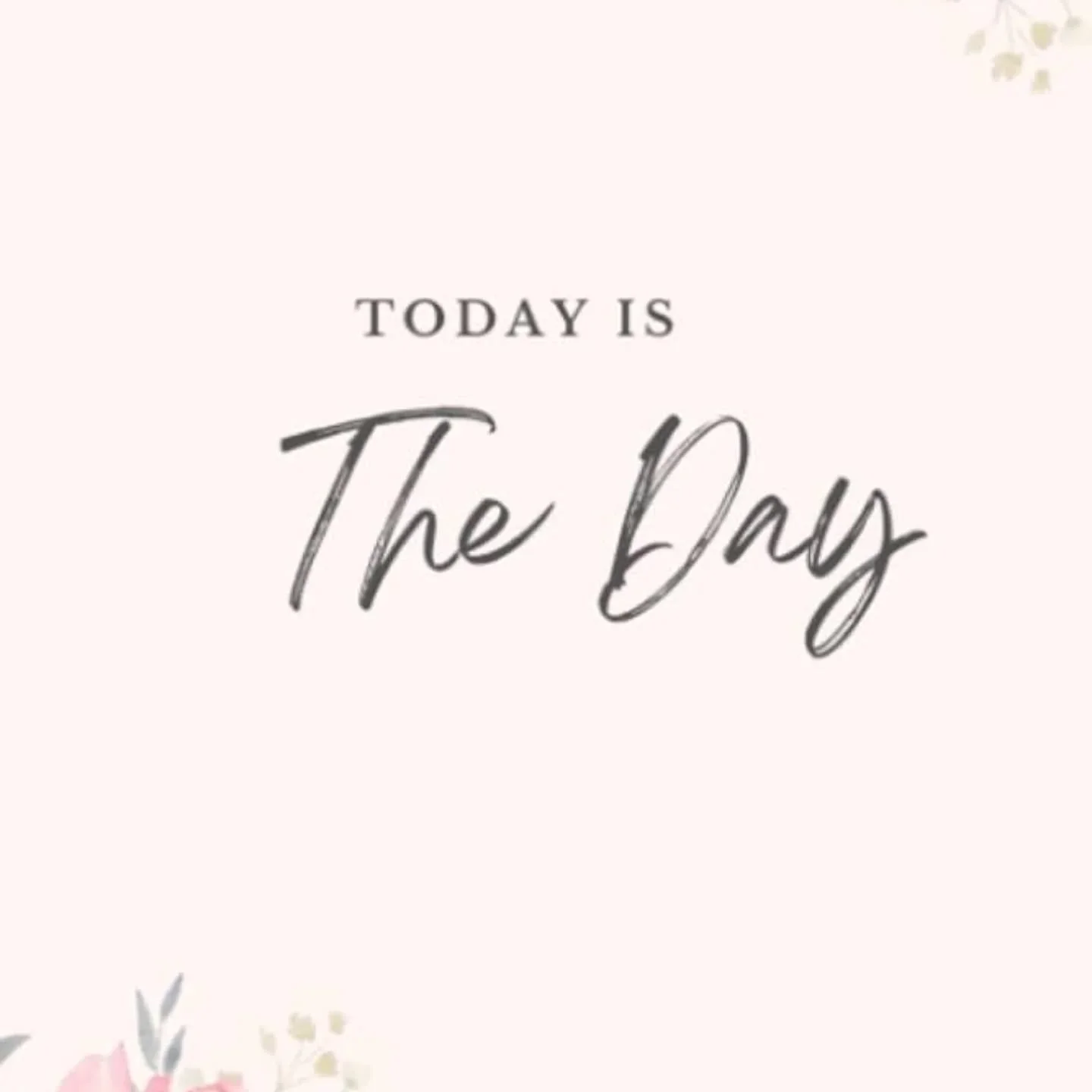 Pie Day and Spring market Day ....Today !!!!!!
Open from 9 to 5
Market opens at 10 
#deherdtgardens 
#pieday 
#springmarket