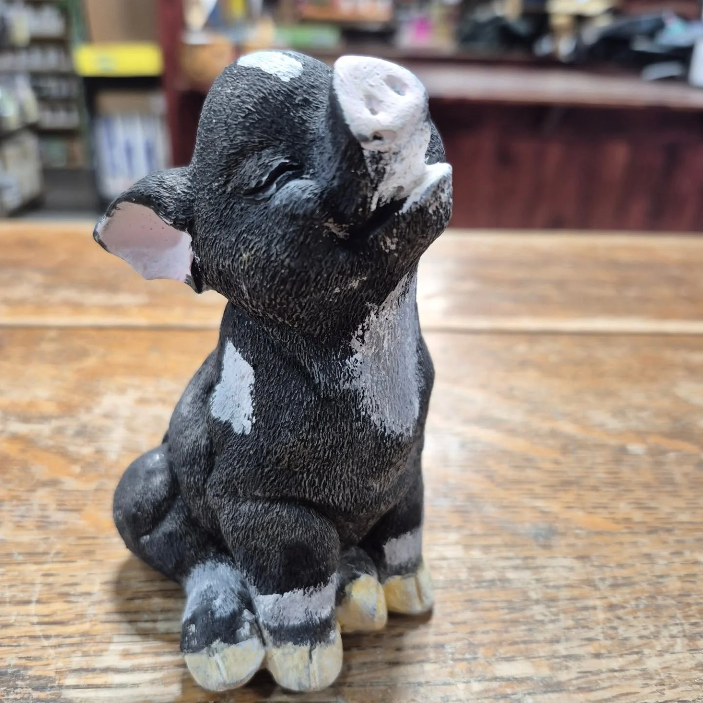 What a day 🙂 
Thank you to all visitors from far away and closeby 🙂 
thank you to all vendors 🙂 
thank you to our team 😉
We will do this again in 2027 ❤️
#deherdtgardens 
#springmarket 
#barrheadsgardencenter