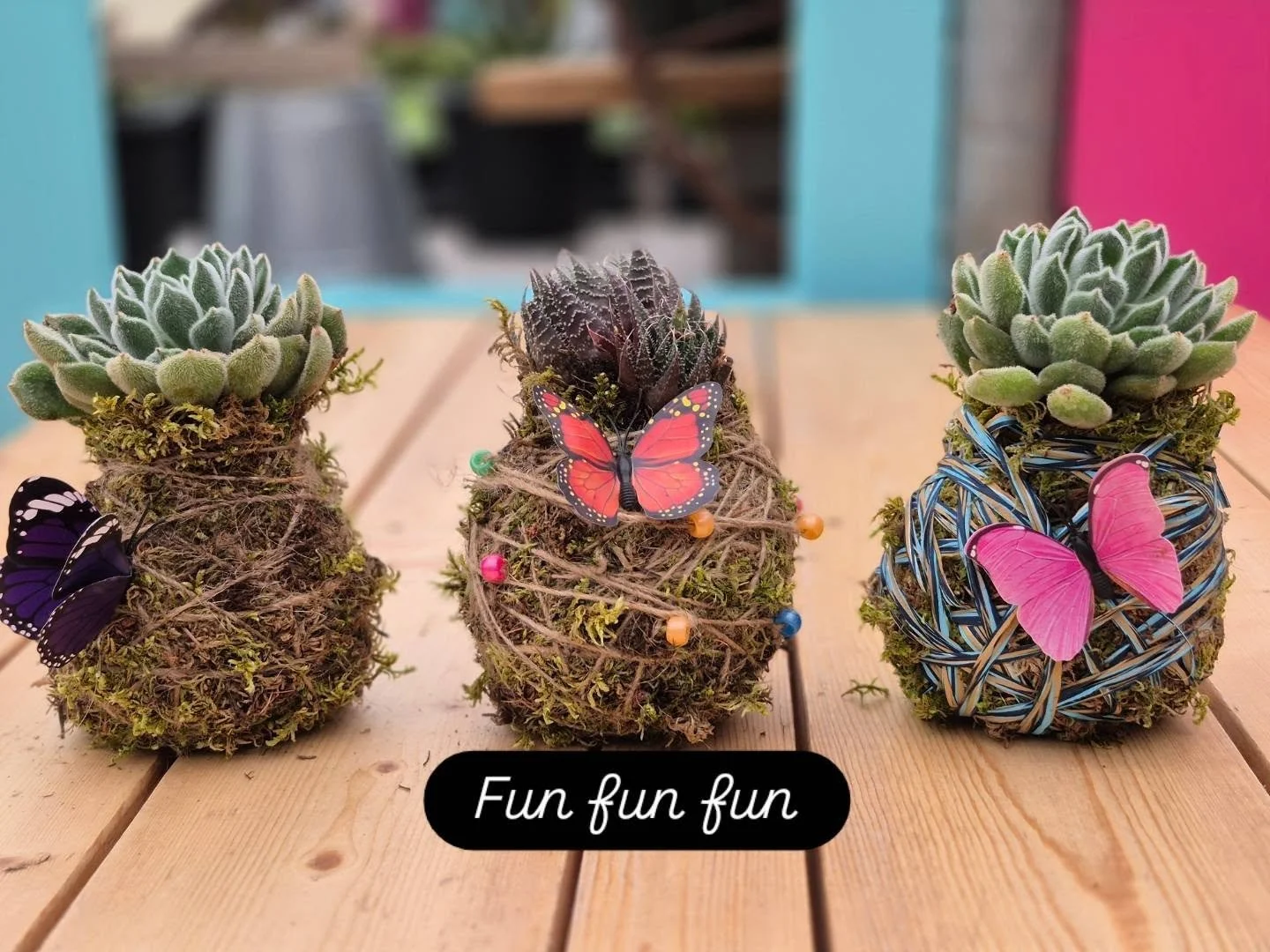 It was a Kokedama kinda night 🙂 Thank you for coming !
#deherdtgardens 
#plantsmakepeoplehappy