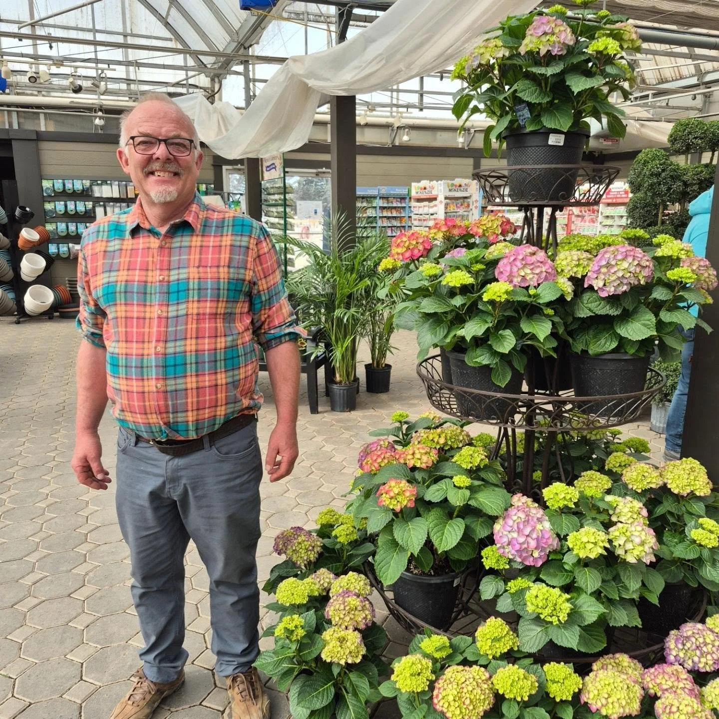 A quick check on our hydrangeas for sale at another gardencenter in Edmonton 🙂 open today 12 to 6
#deherdtgardens 
#hydrangeas 
#coffeeshop
