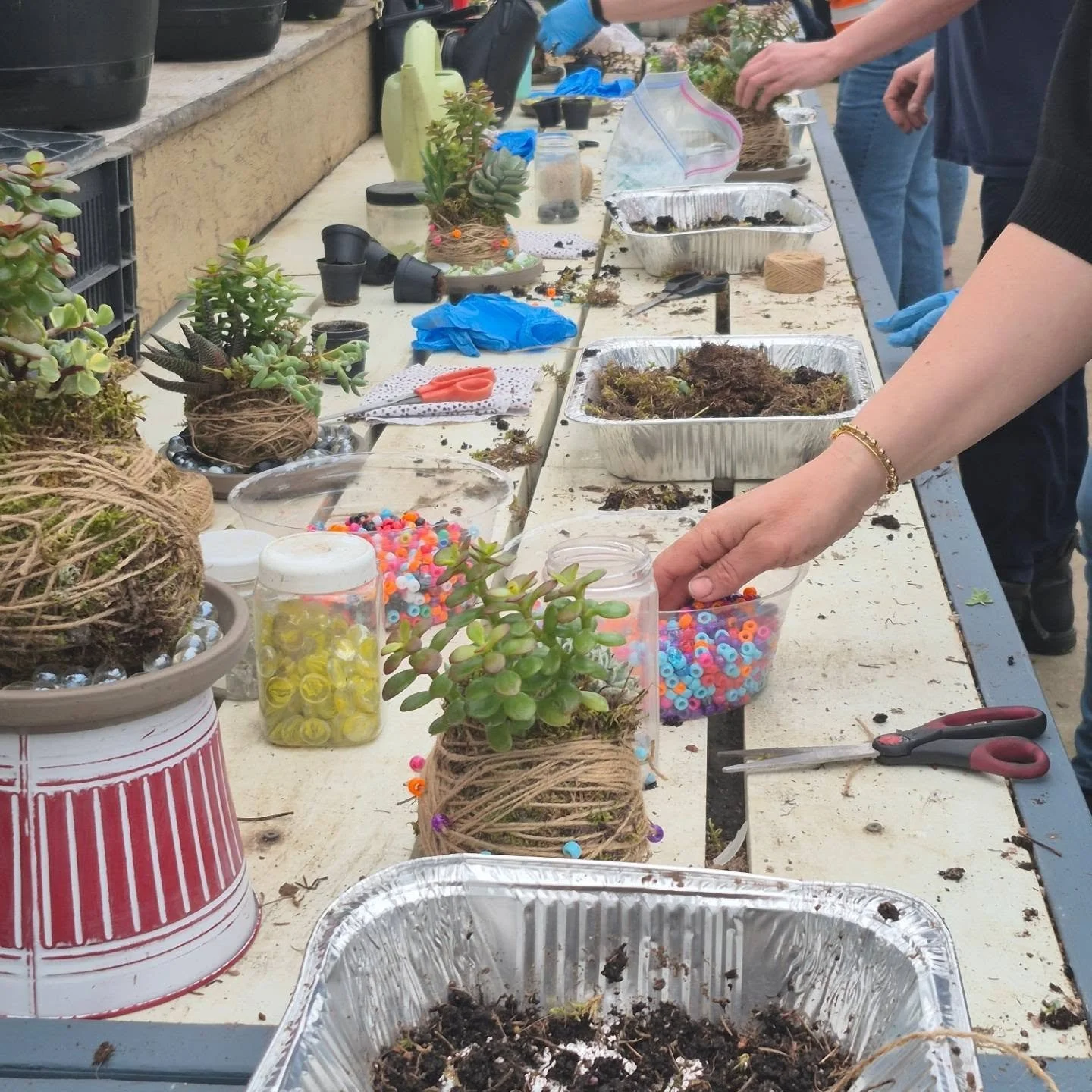 Busy busy hands this morning but still a peaceful Zen-vibe 😉
Thank you ladies for coming 🙂
#deherdtgardens 
#kokedama
