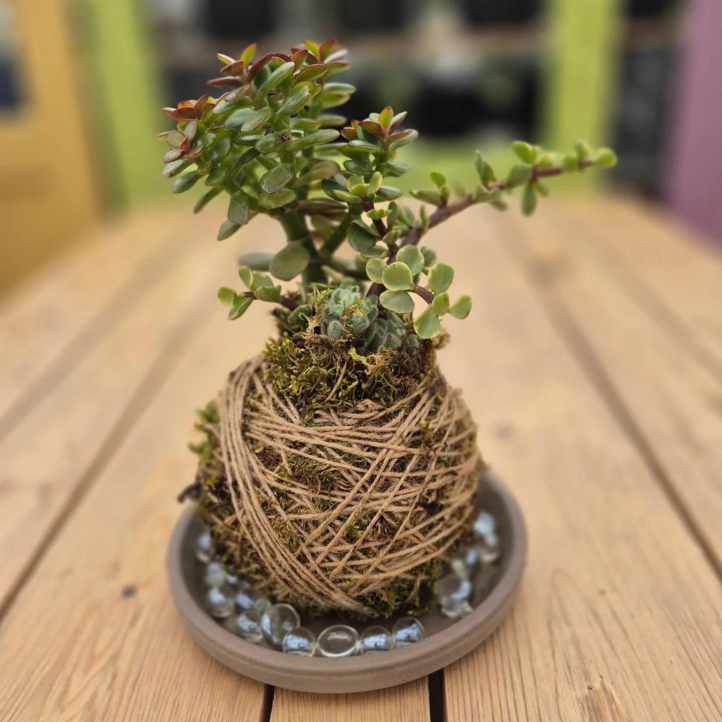 Open today 9 to 6 🙂
#deherdtgardens 
#aplacetovisit 
#coffeeshop