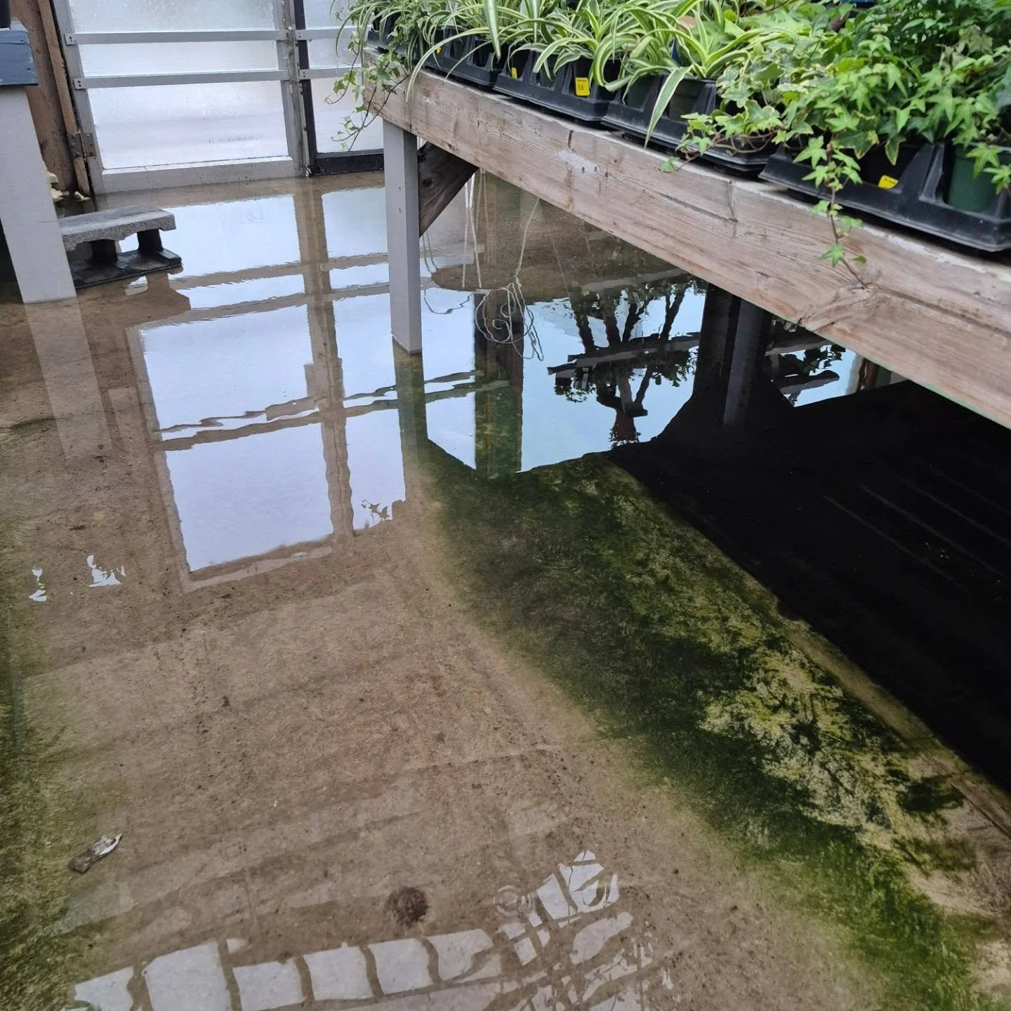 We certainly got lots of rain in a short time 😐
#deherdtgardens