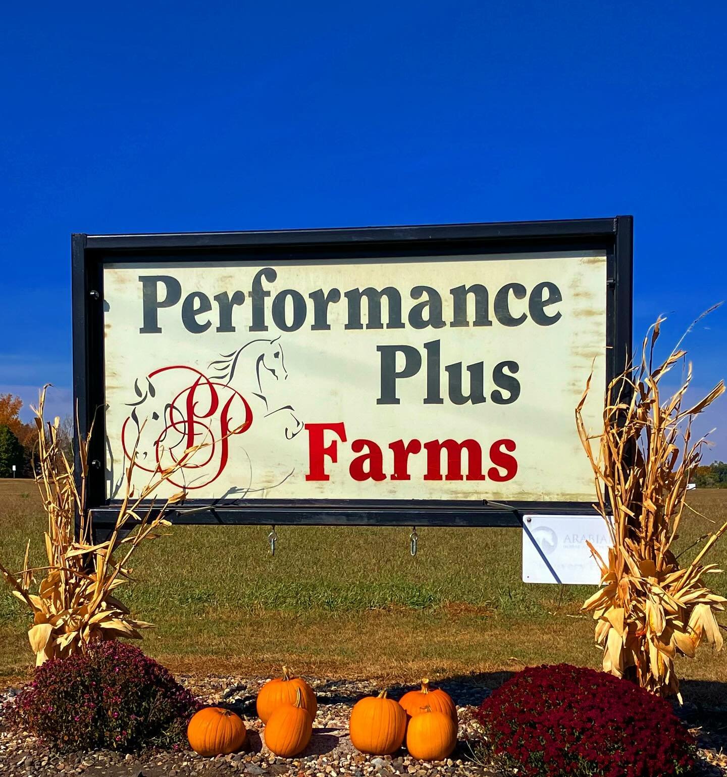 Beautiful fall day at the barn 🍁🍂