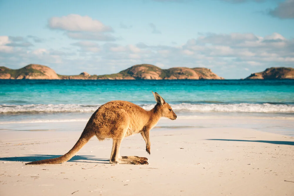 Australia Domestic Restriction Checker   Understanding domestic travel requirements from border restrictions, quarantine requirements, here are the state by state border restrictions and quarantine requirements.