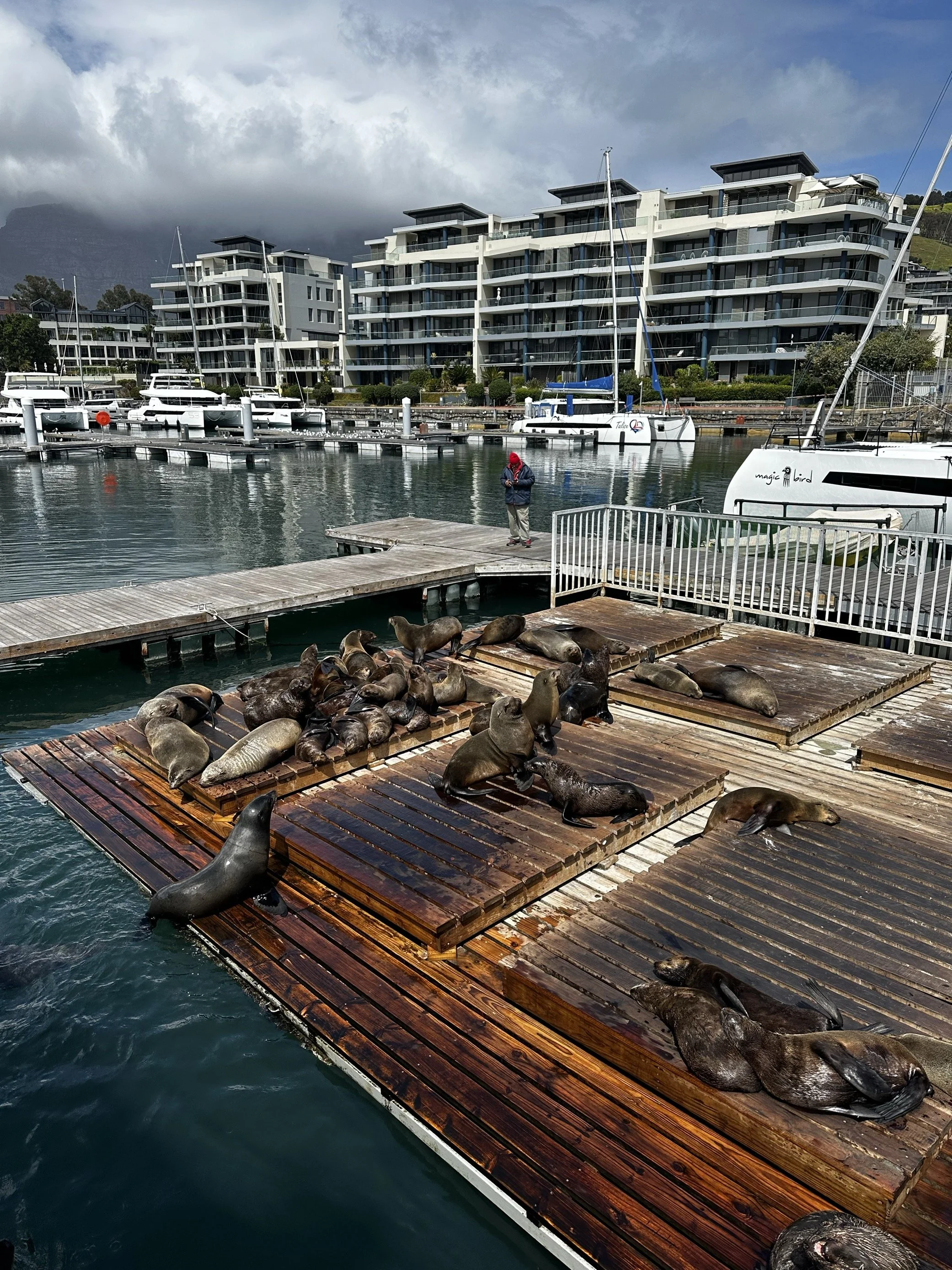 Capetown (5).jpeg