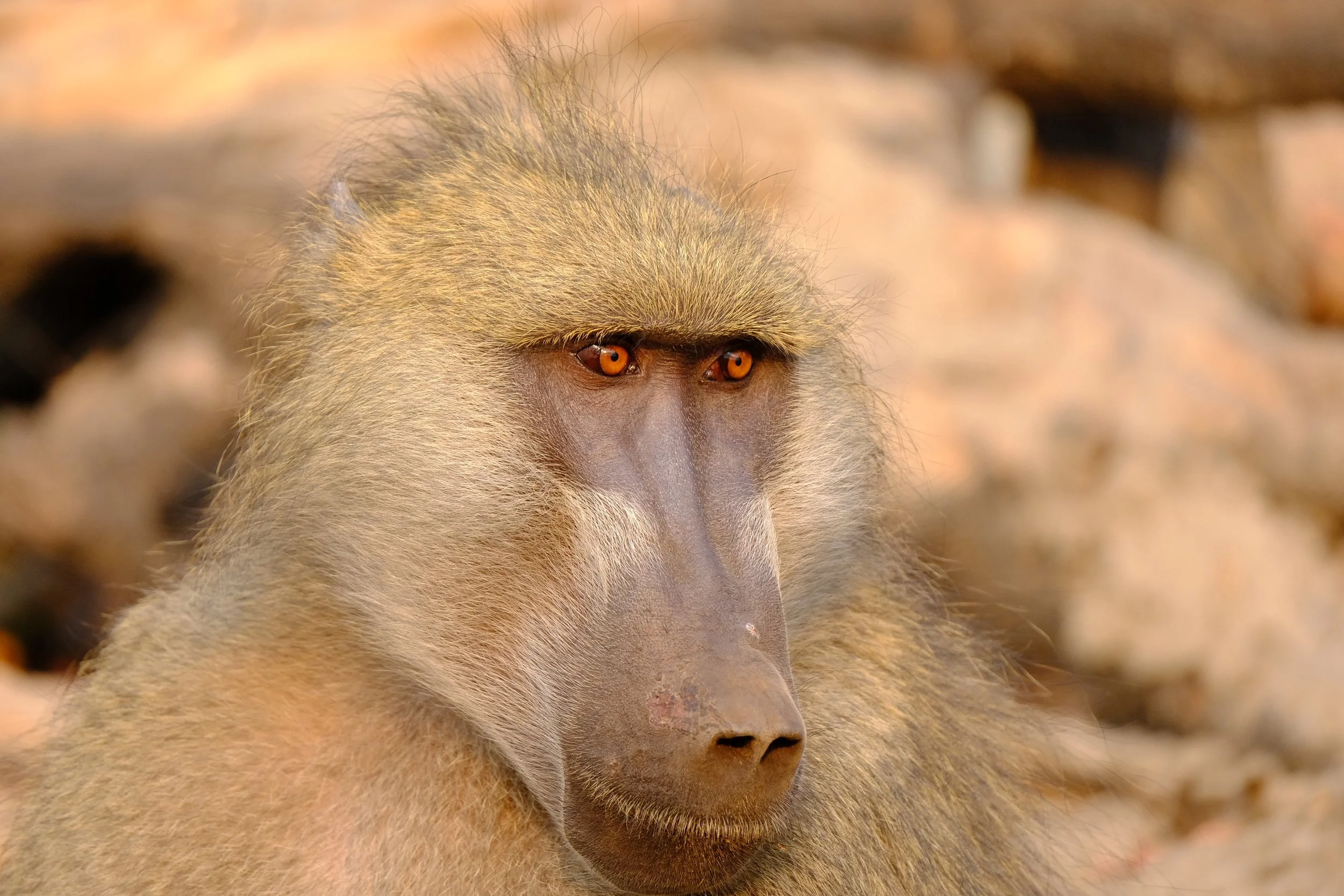 DSCF8178.JPG
