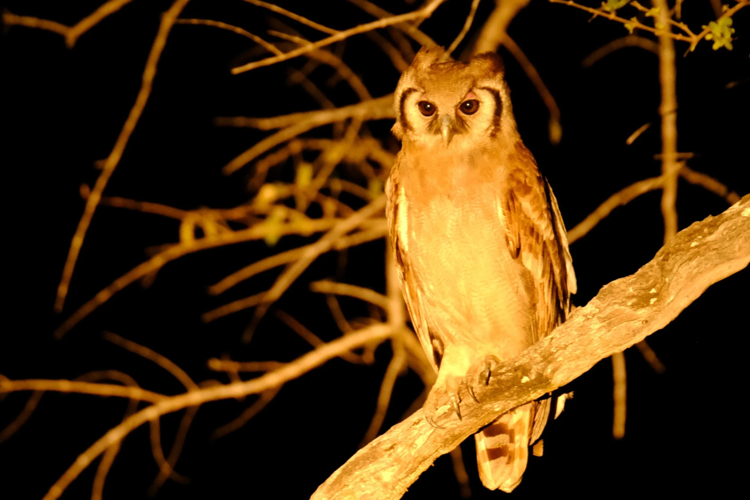DSCF8988.JPG