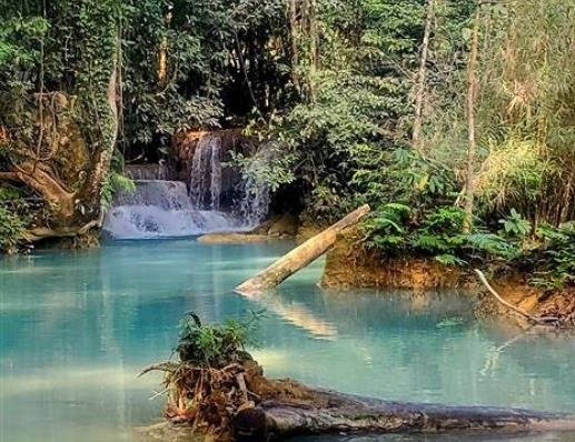 Discover Laos: Scenic Views & Elephant Encounters