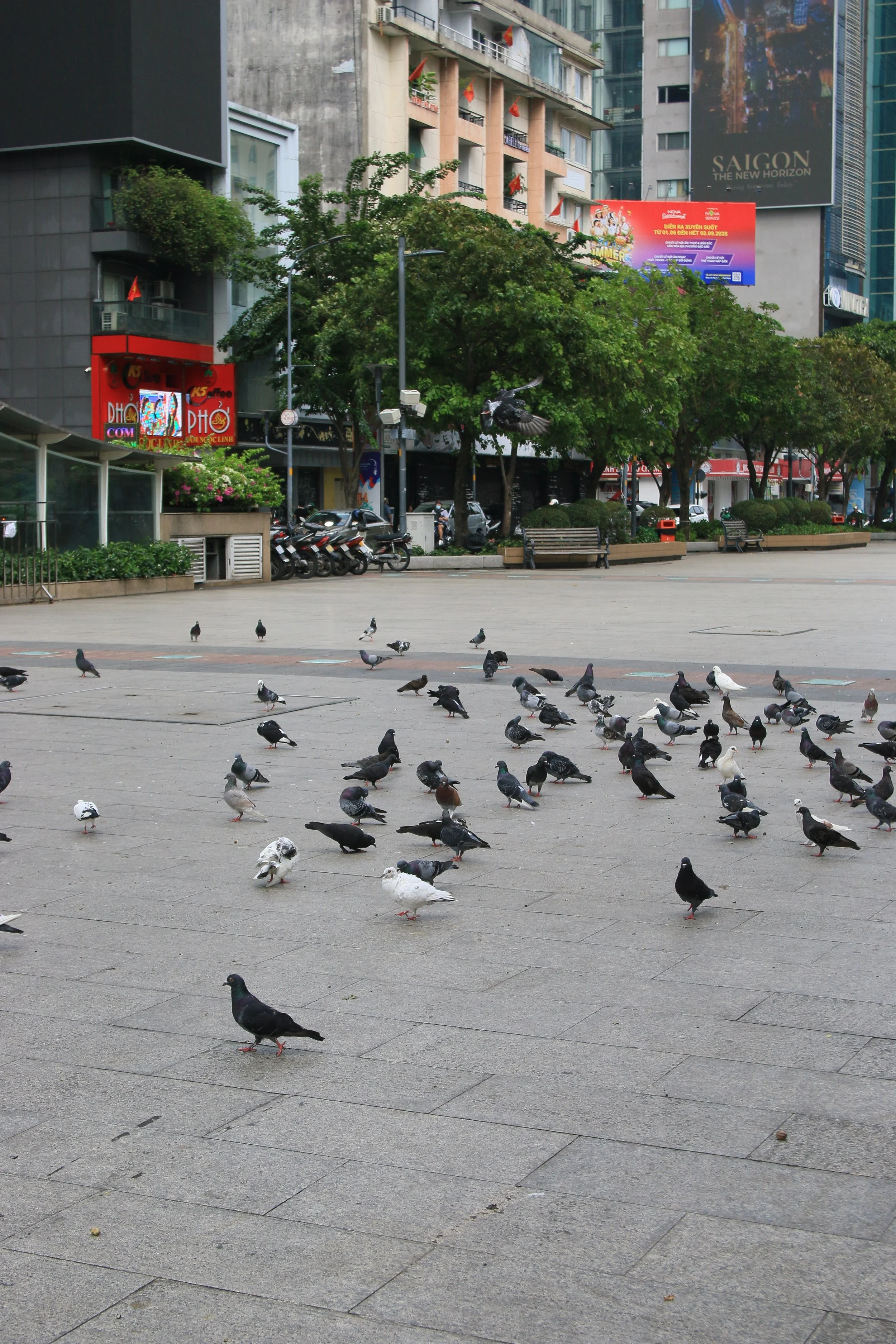IMG_4868.JPG