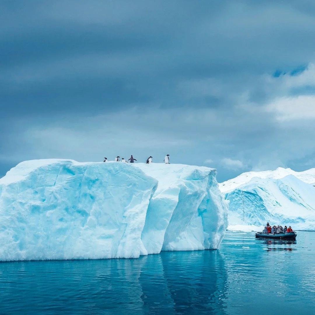 Where adventure meets the edge of the world. 🐧
Every moment on an HX Expedition reveals nature at its most extraordinary, from curious penguins on the ice to the stillness of Antarctica&rsquo;s frozen horizons.

Would you step ashore on the world&rs