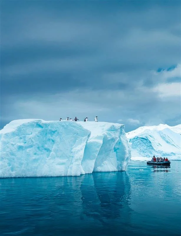 Antarctica_Neko_Harbour_HX_44474_Photo_Yuri_Choufour.jpg
