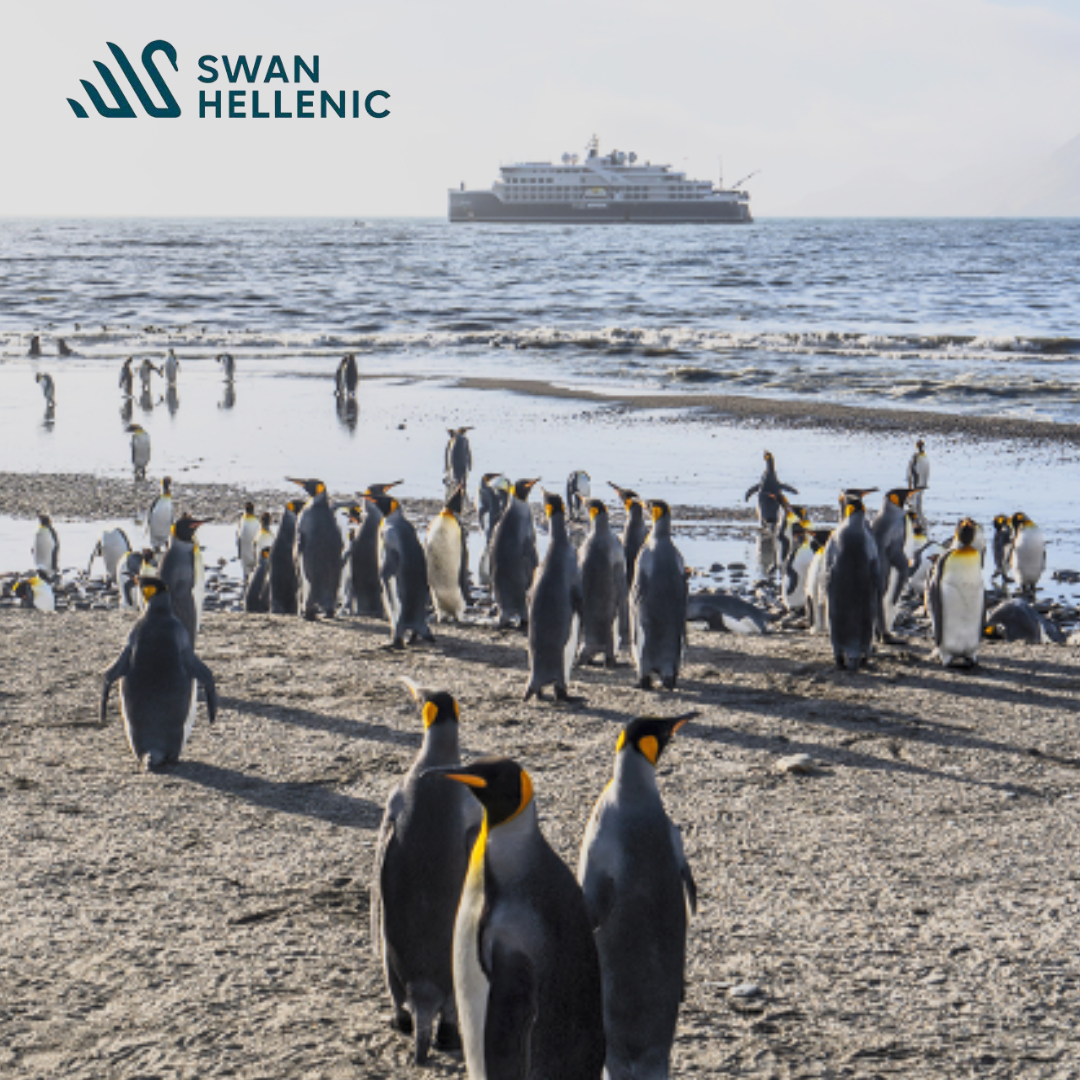 South Georgia Expedition Offer with Swan Hellenic