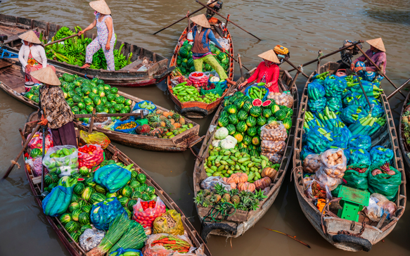 Gallery 6 VIETNAM.png