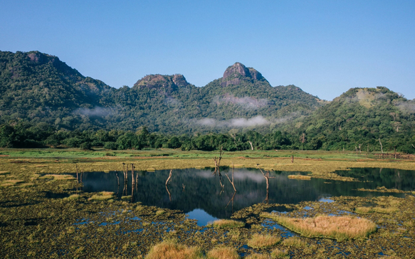 Added Gallery 3 Sri Lanka.png