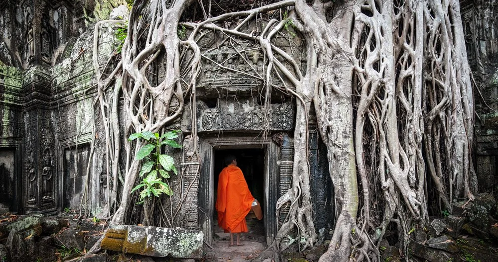 A monk in orange robes walking through an ancient stone doorway overgrown with large, intertwining tree roots at a temple in Cambodia.