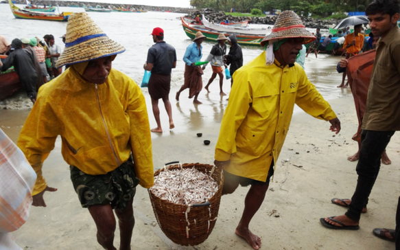 Local Sri Lankan fishermen carrying a fresh catch basket along a busy coastal fishing village beach, surrounded by colorful boats, seaside activity, and authentic daily life by the ocean.