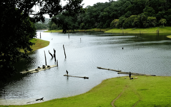 Peaceful highland lake surrounded by lush forest and rolling green landscapes in Sri Lanka, ideal for nature-focused wellness escapes.