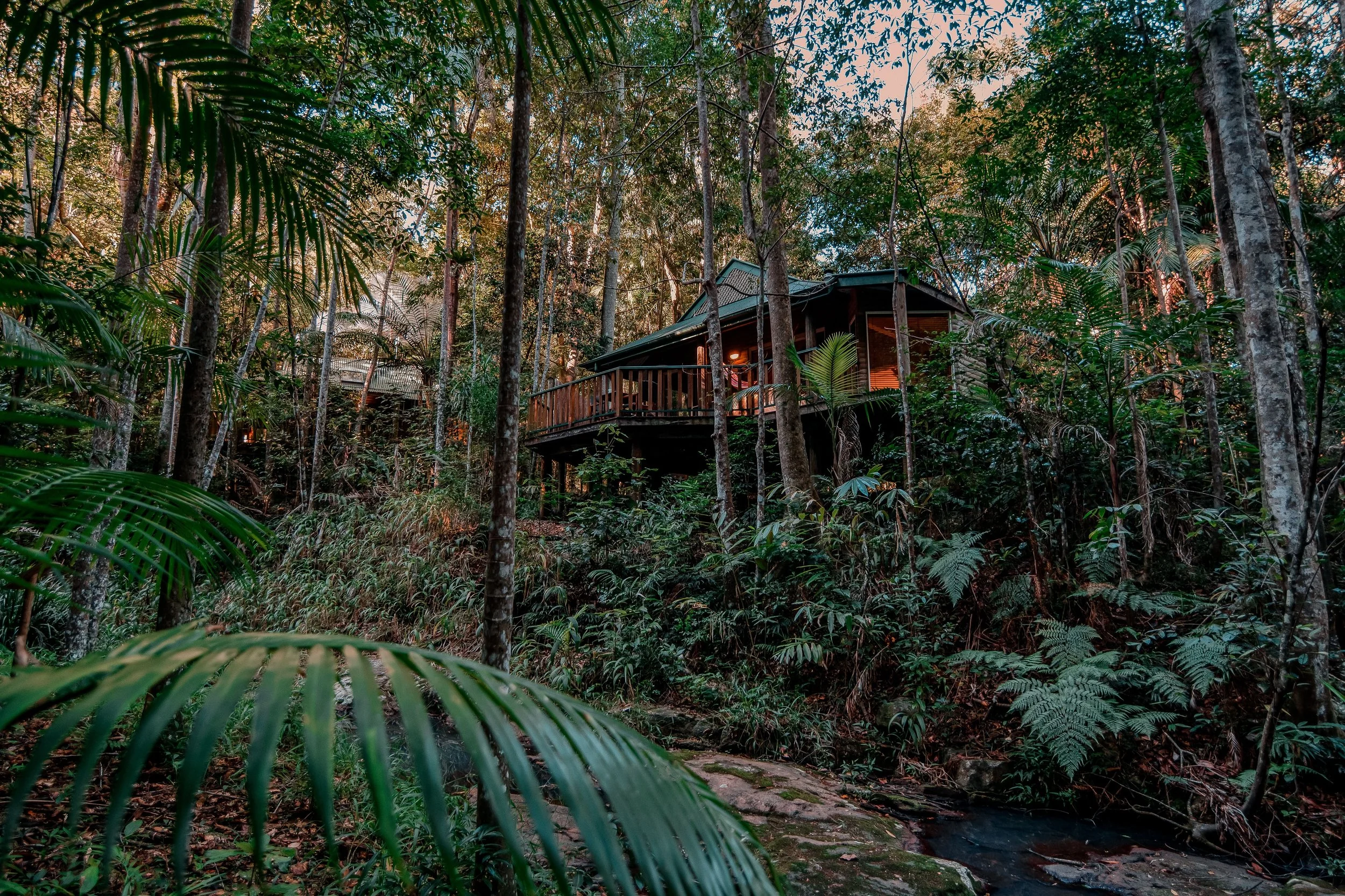A wooden treehouse with a deck, situated among dense tropical jungle trees with lush green foliage and a small stream or river in the foreground.