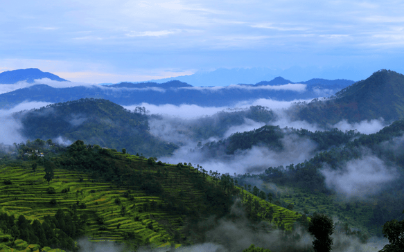 Lush green terraced hills with mist drifting through layered mountain ranges under a cloudy sky