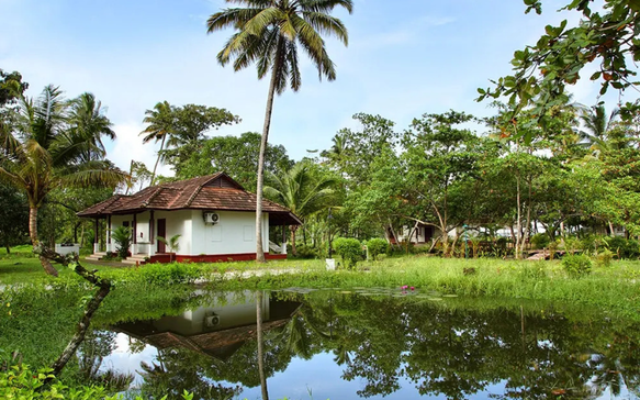 Charming Sri Lankan wellness cottage beside a reflective tropical pond surrounded by palm trees, lush gardens, and peaceful nature.
